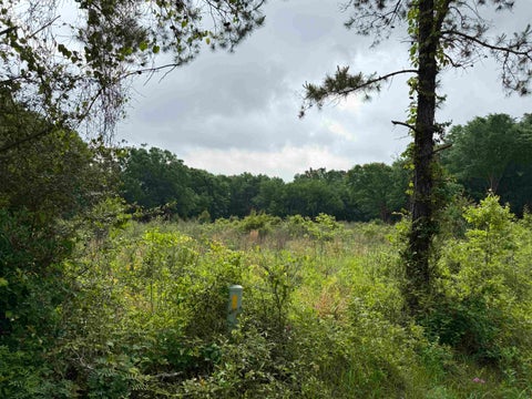 Vacant Land For Sale - TBD Cr 401 St<br/> Rusk County, Henderson, TX 75654