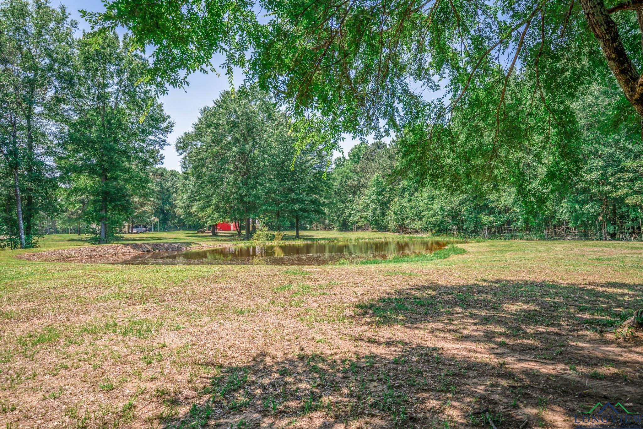 342 W Doctors Rd, Longview, Texas image 8