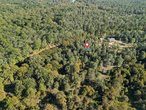 Vacant Land For Sale - 2500 Pr 7200 Lot #1<br/> Marion County, Jefferson, TX 75657