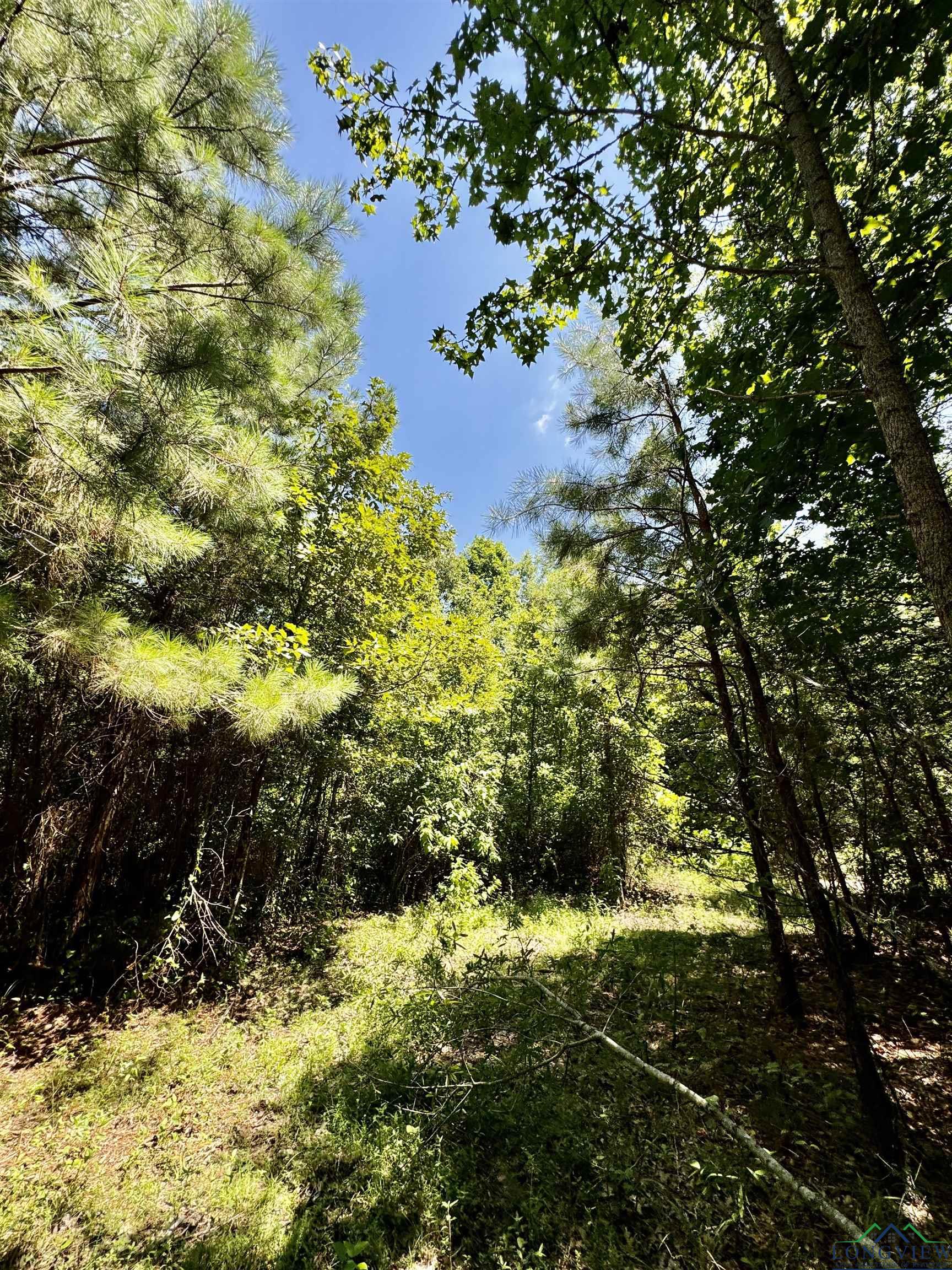 TBD Cr 4335, Bivins, Texas image 8