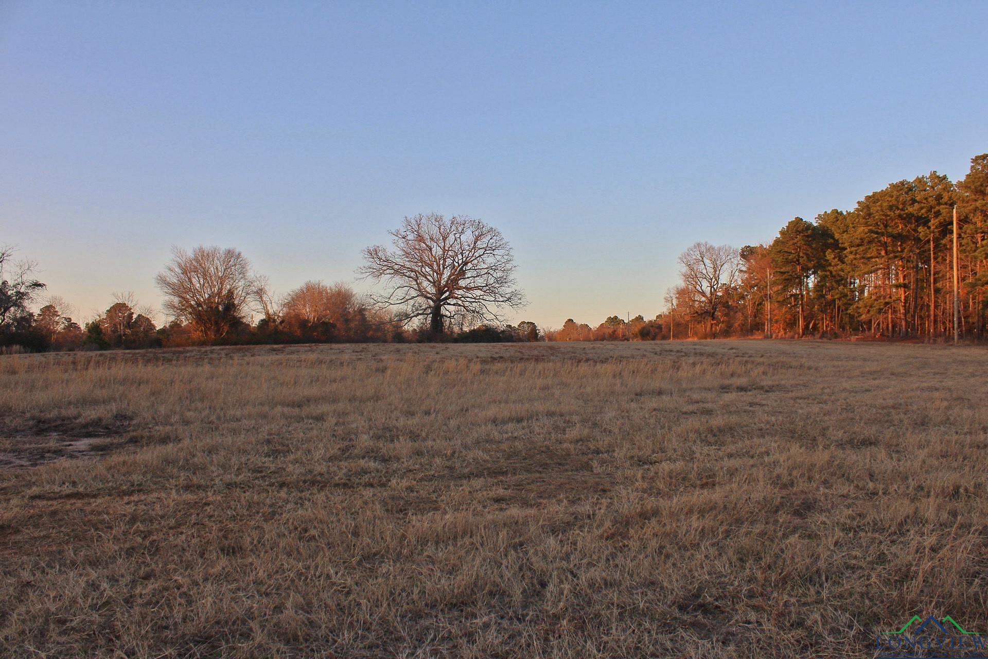 TBD 300 Bud Rd, Kilgore, Texas image 22