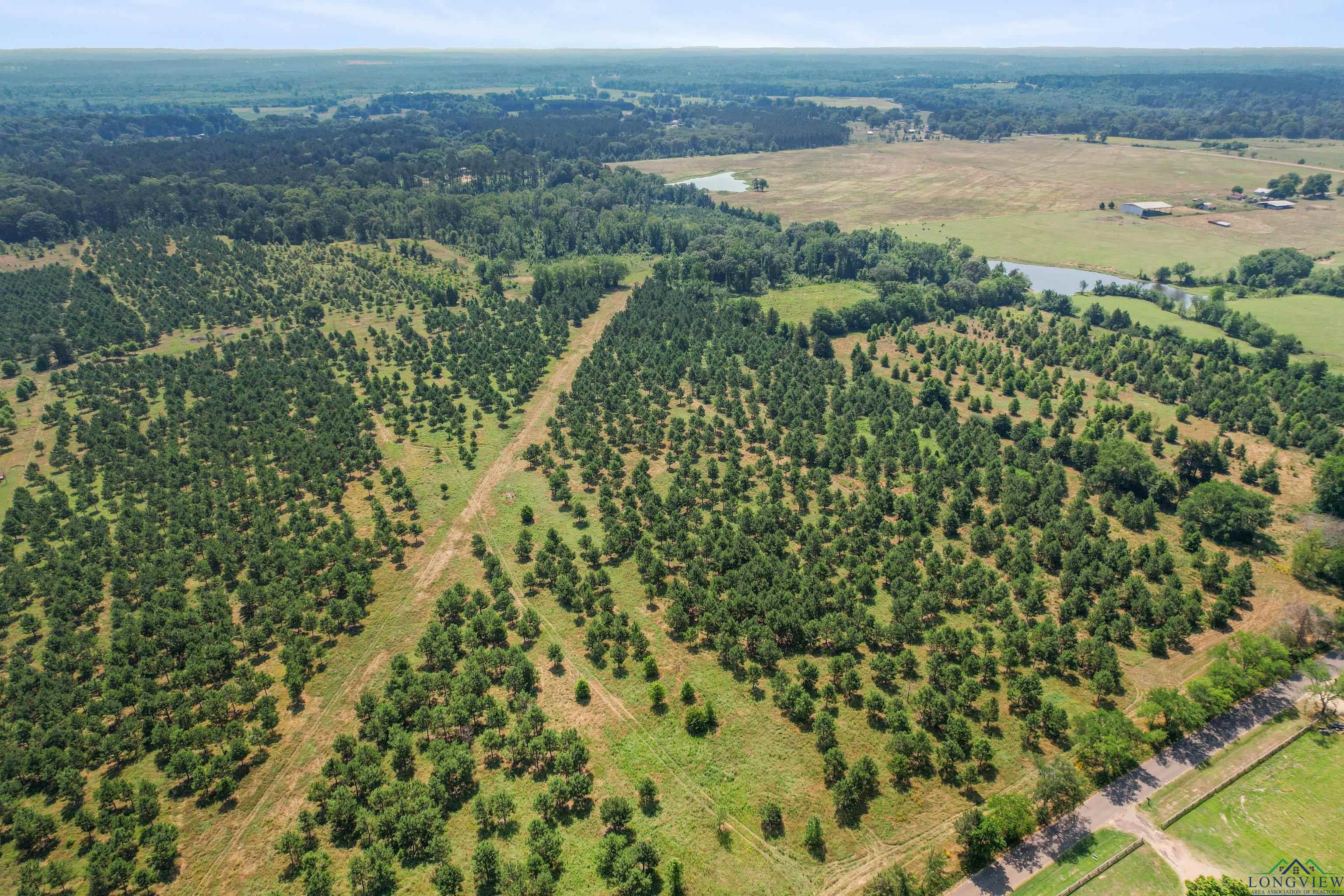 2323A Finch Road, Gilmer, Texas image 8