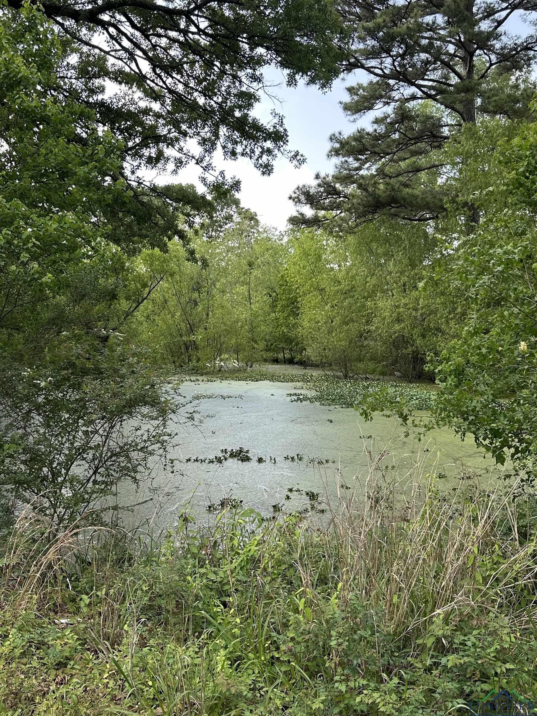 213 County Road 3131, De Berry, Texas image 8