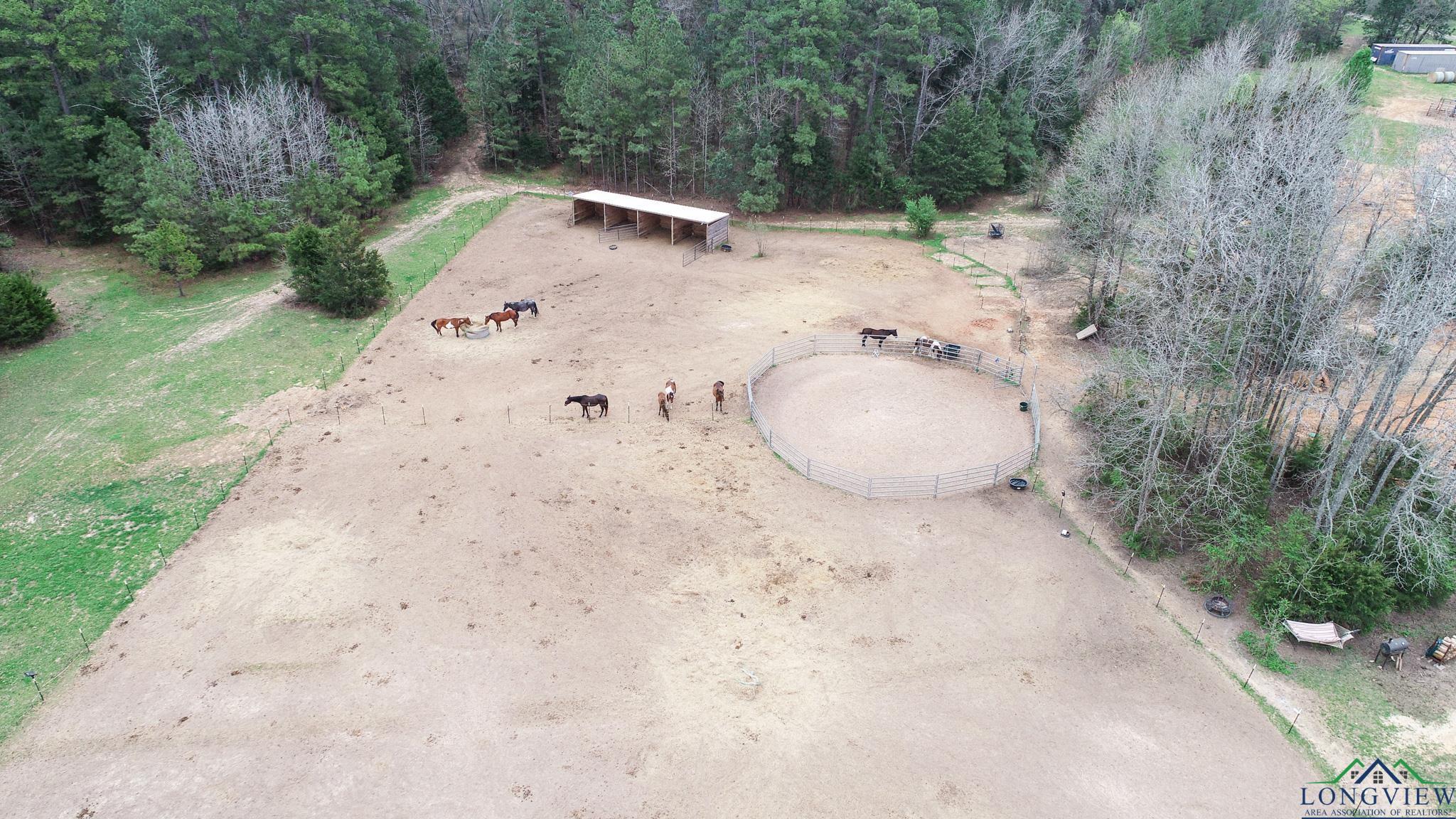 2433 E State Highway 154, Gilmer, Texas image 35