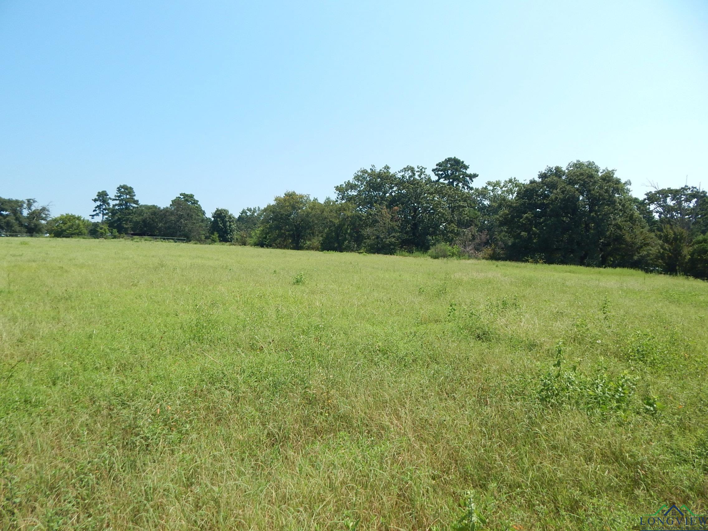 441 Pr 8571, Winnsboro, Texas image 37