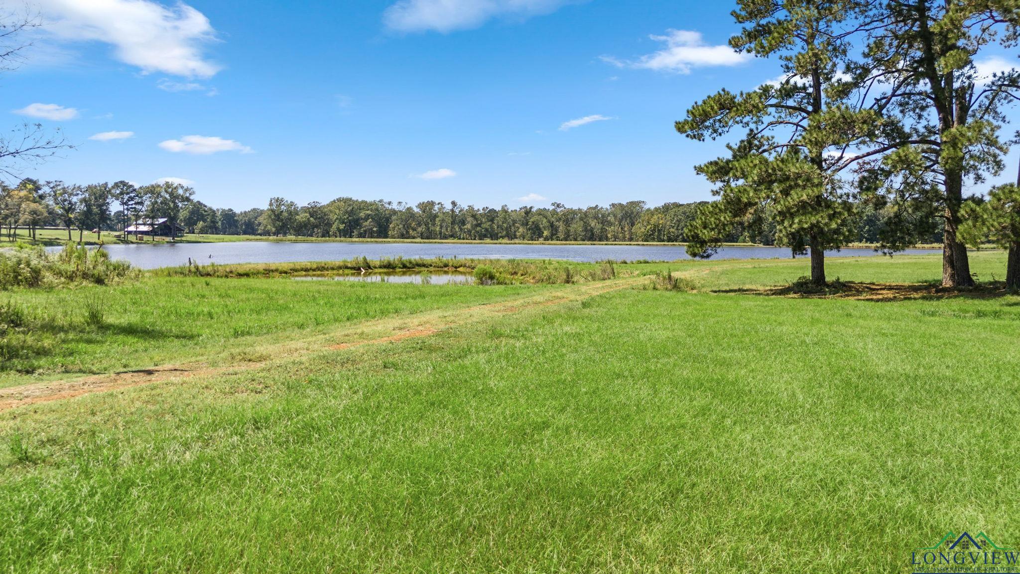 TBD W Cr 4177, Laneville, Texas image 11