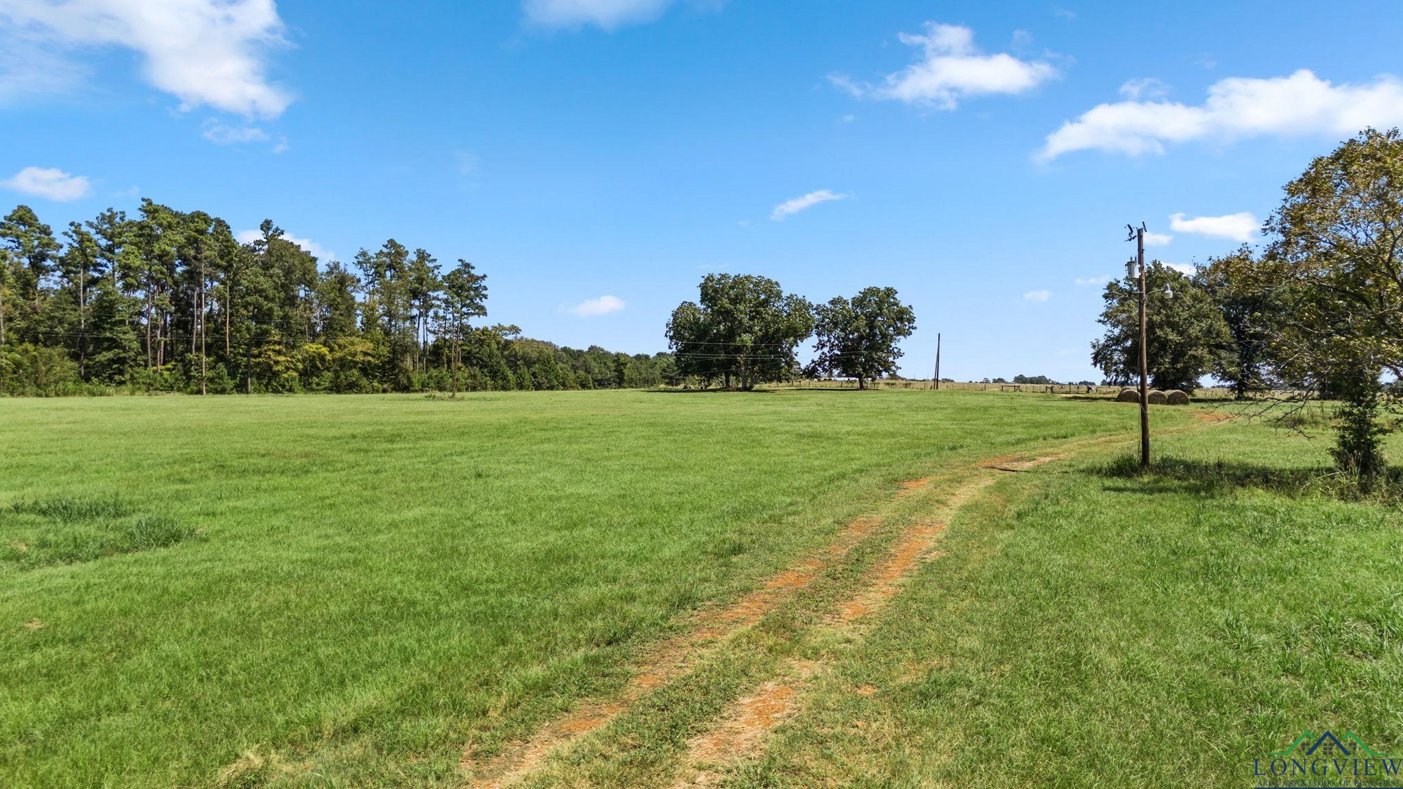 TBD W Cr 4177, Laneville, Texas image 10