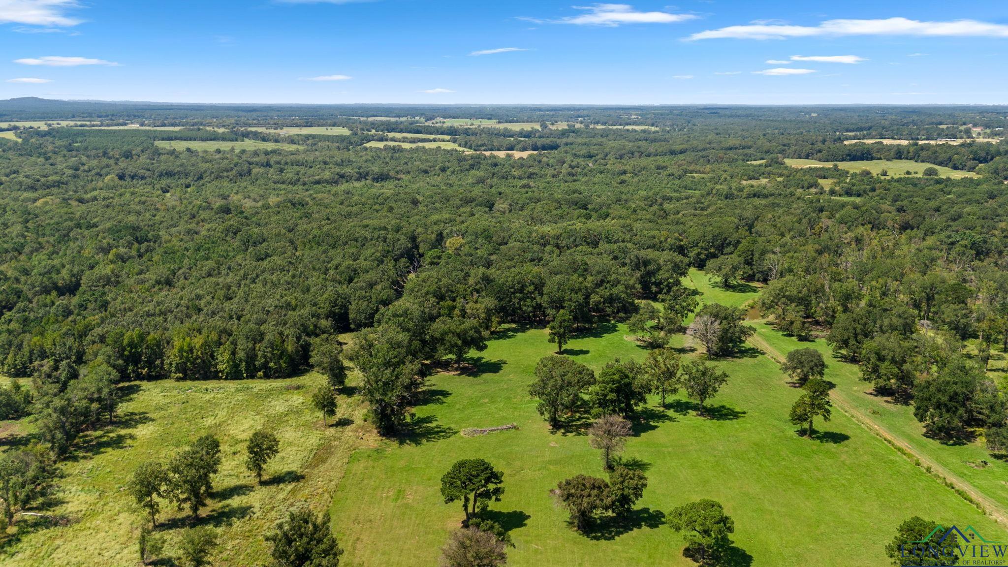 TBD W Cr 4177, Laneville, Texas image 22