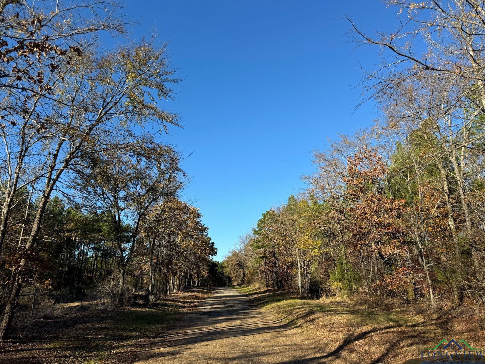 TBD Cr 2307, Lone Star, Texas image 14