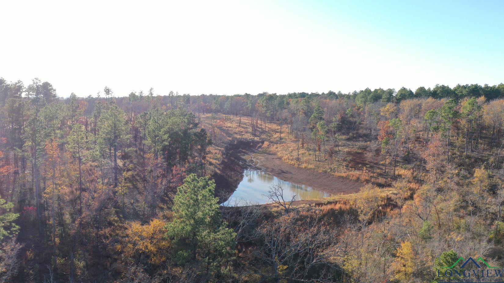 TBD Cr 2307, Lone Star, Texas image 3