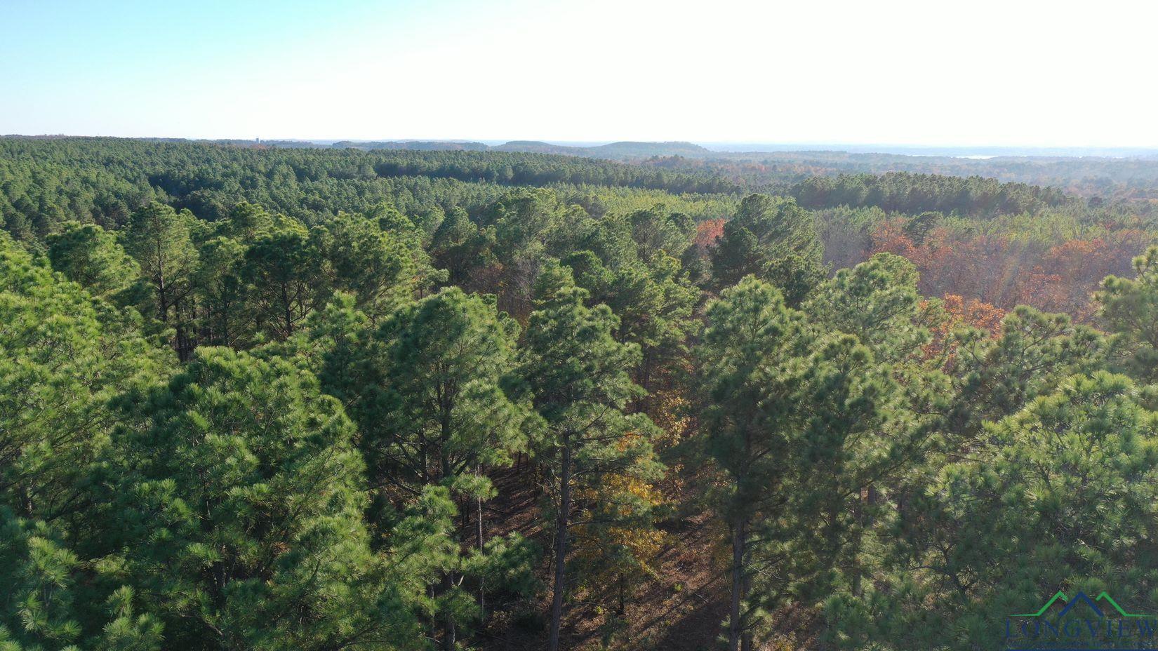 TBD Cr 2307, Lone Star, Texas image 5