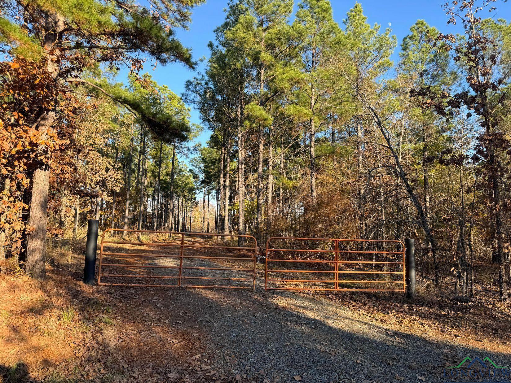 TBD Cr 2307, Lone Star, Texas image 39