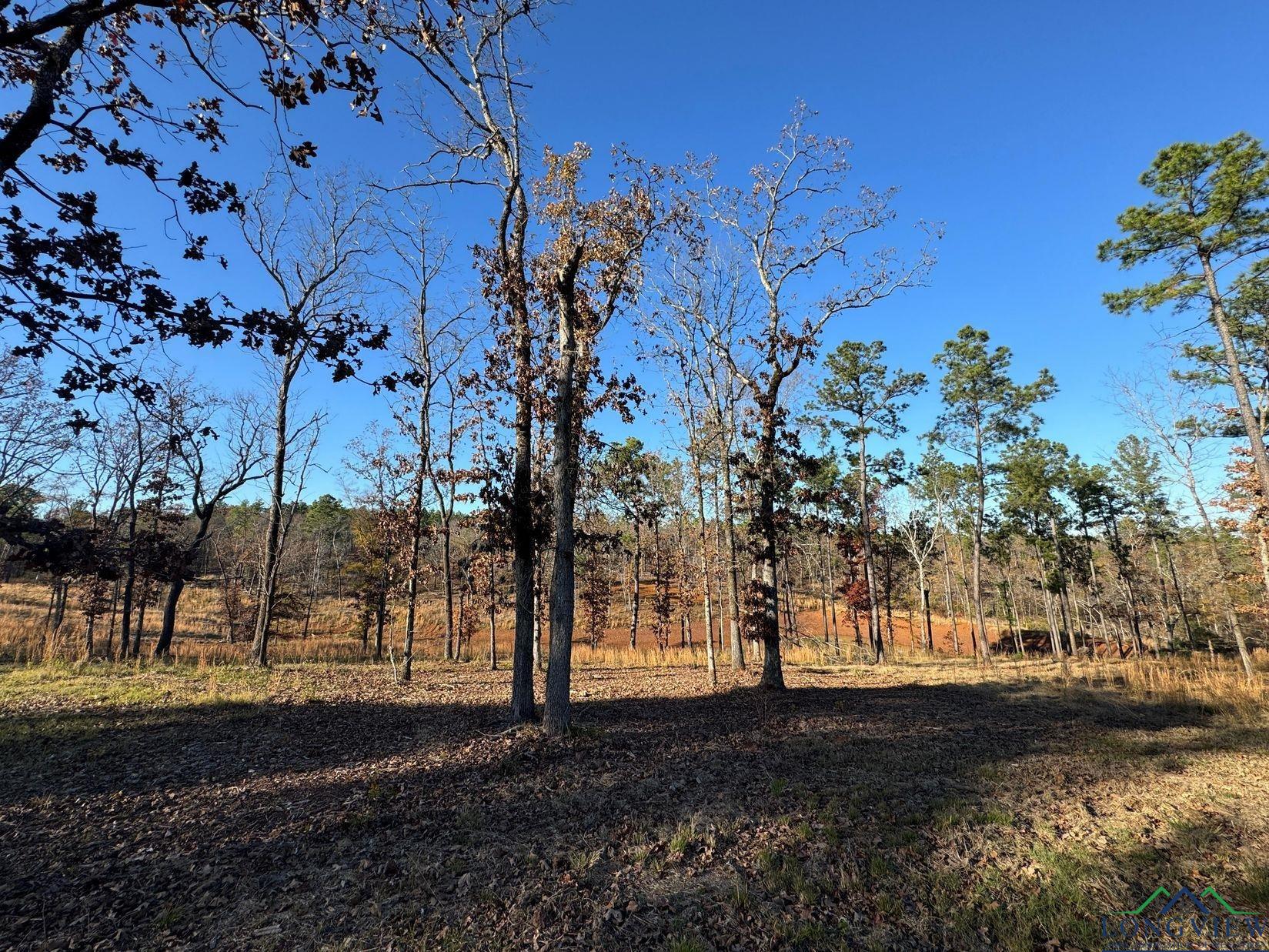 TBD Cr 2307, Lone Star, Texas image 16