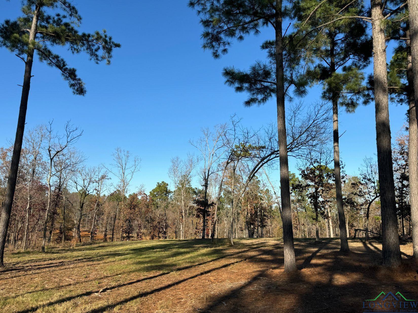 TBD Cr 2307, Lone Star, Texas image 12