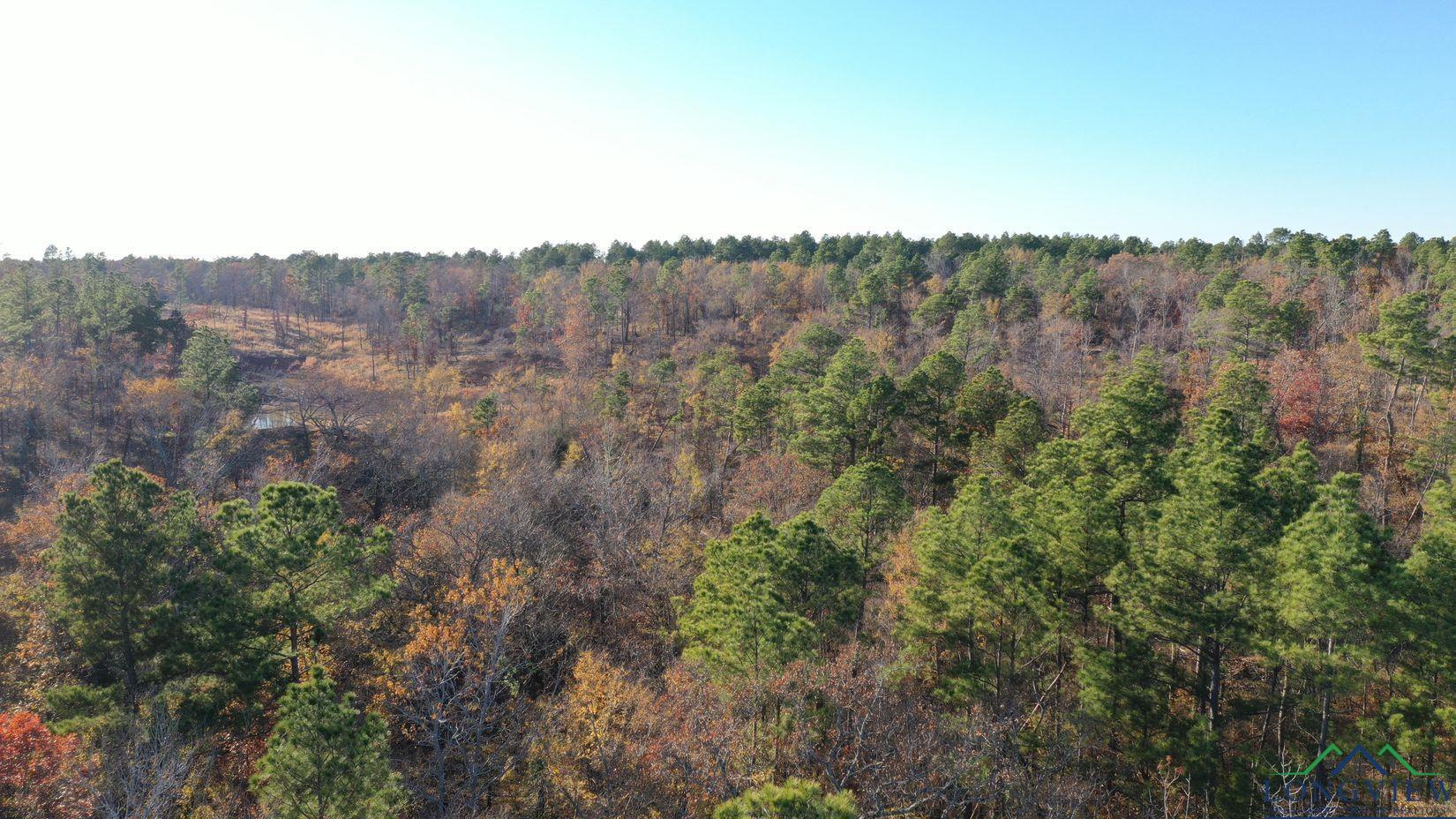 TBD Cr 2307, Lone Star, Texas image 4