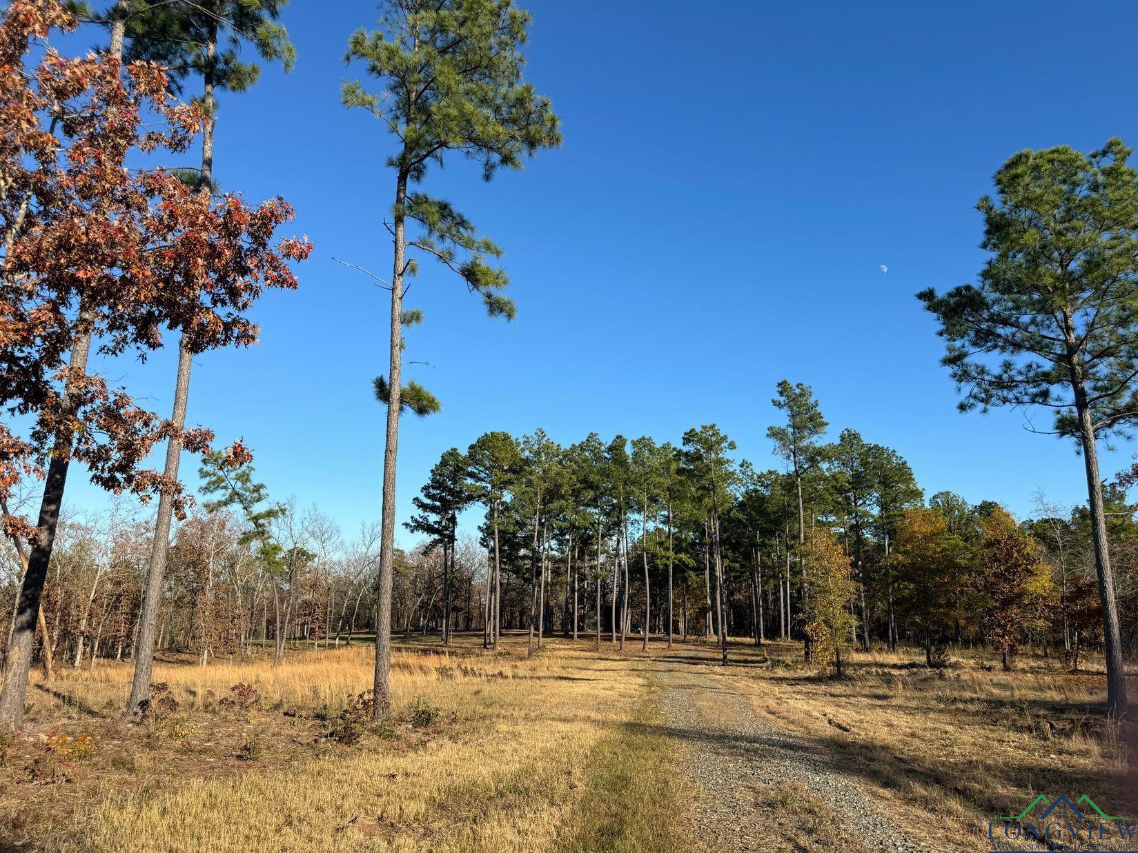 TBD Cr 2307, Lone Star, Texas image 13