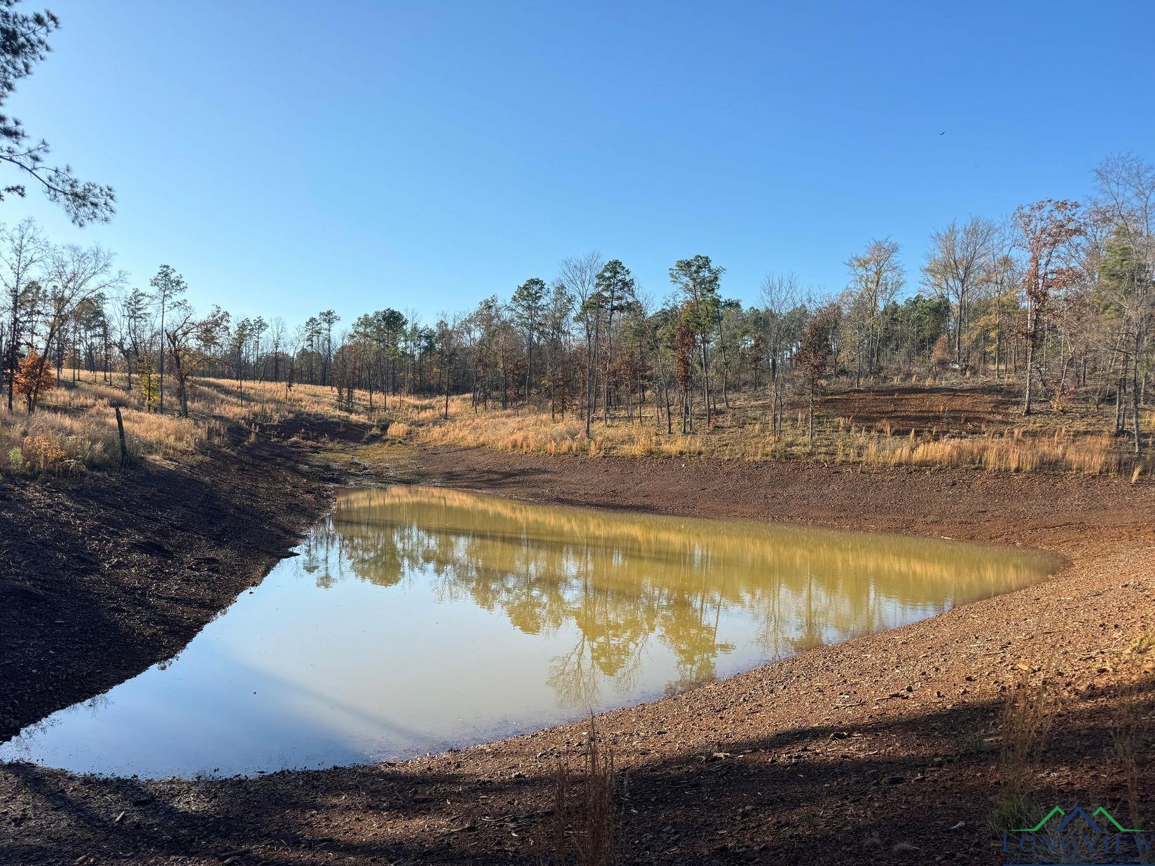 TBD Cr 2307, Lone Star, Texas image 19