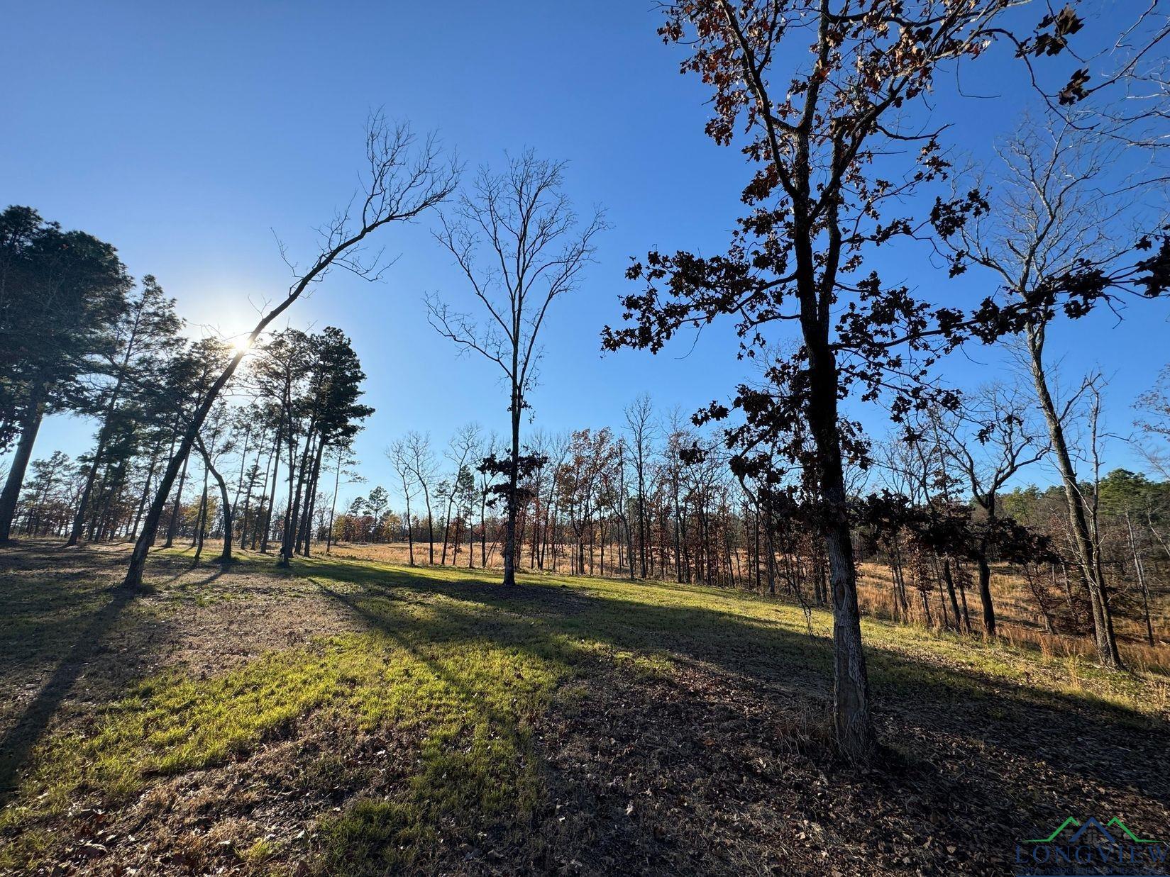 TBD Cr 2307, Lone Star, Texas image 18