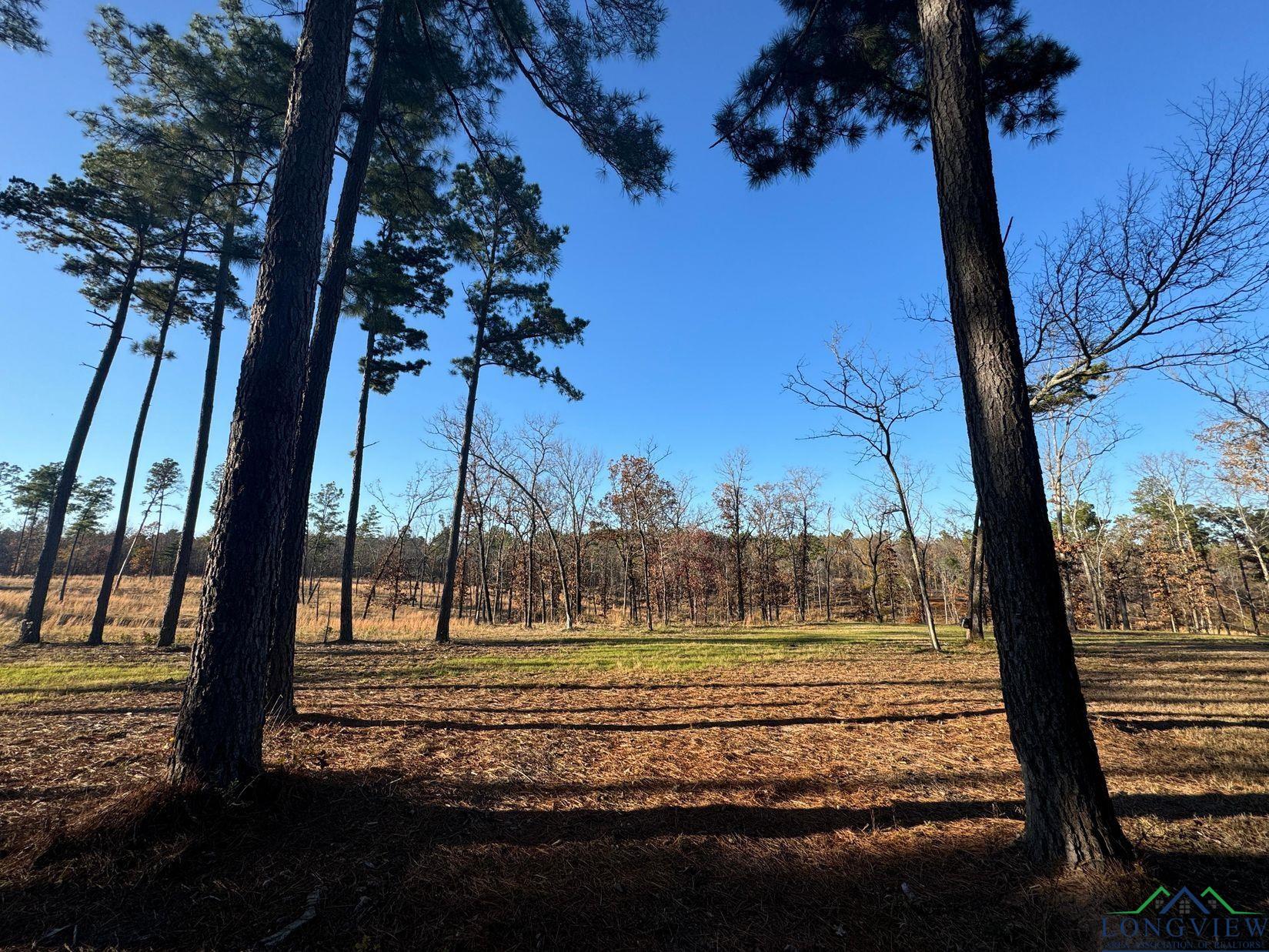 TBD Cr 2307, Lone Star, Texas image 15