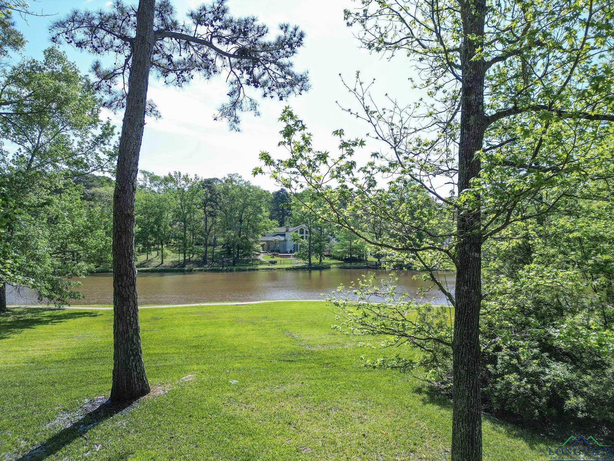 102 Hunters Creek Dr, Longview, Texas image 47