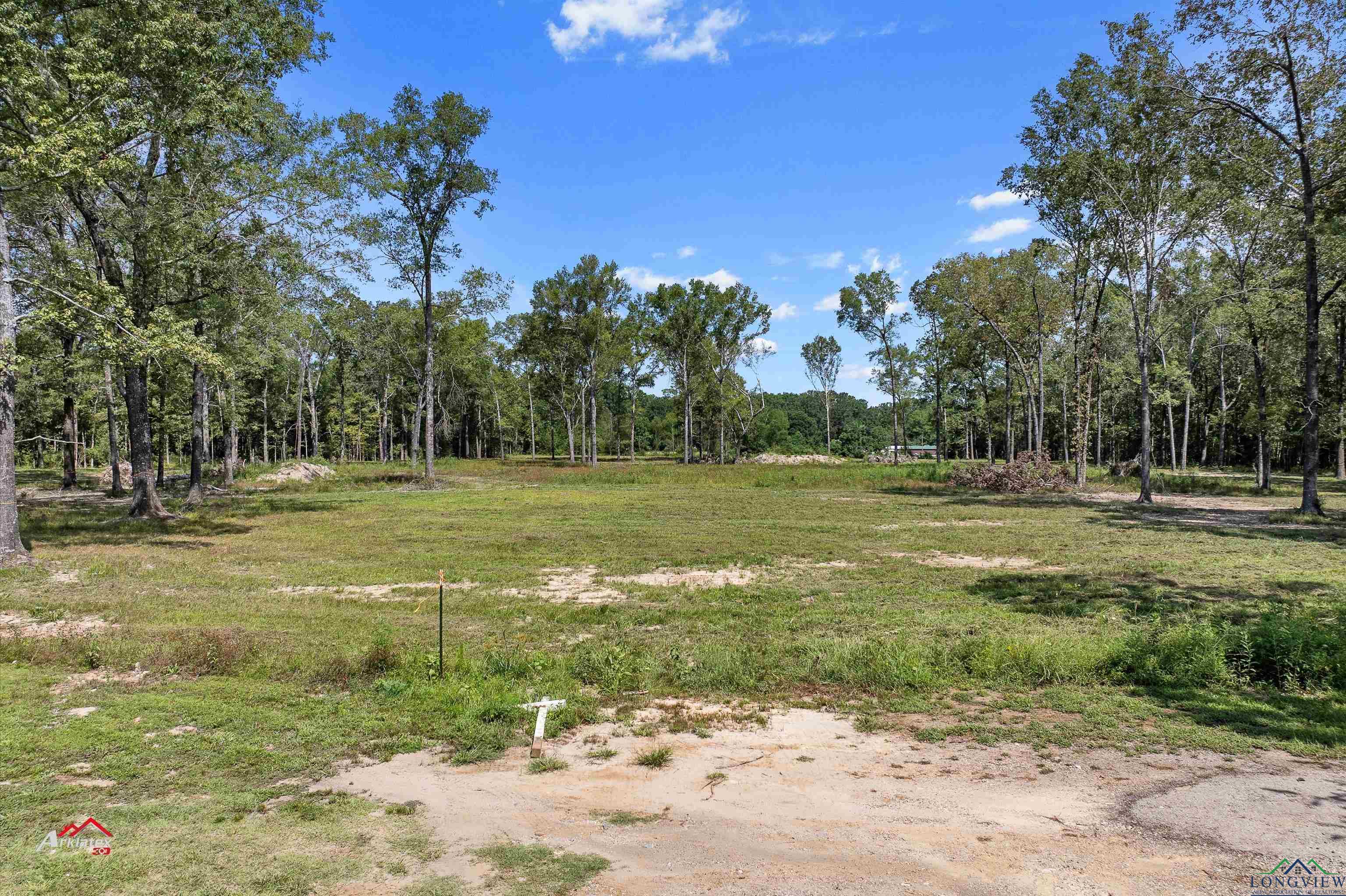 241 Cooper Street, Joaquin, Texas image 1