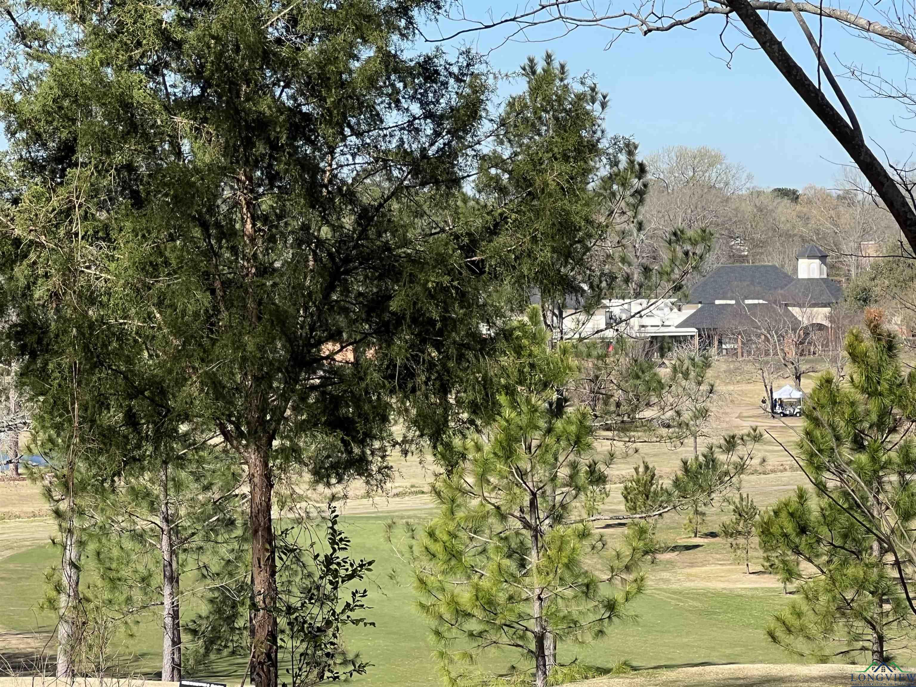 207 Longleaf Drive, Longview, New Mexico image 12