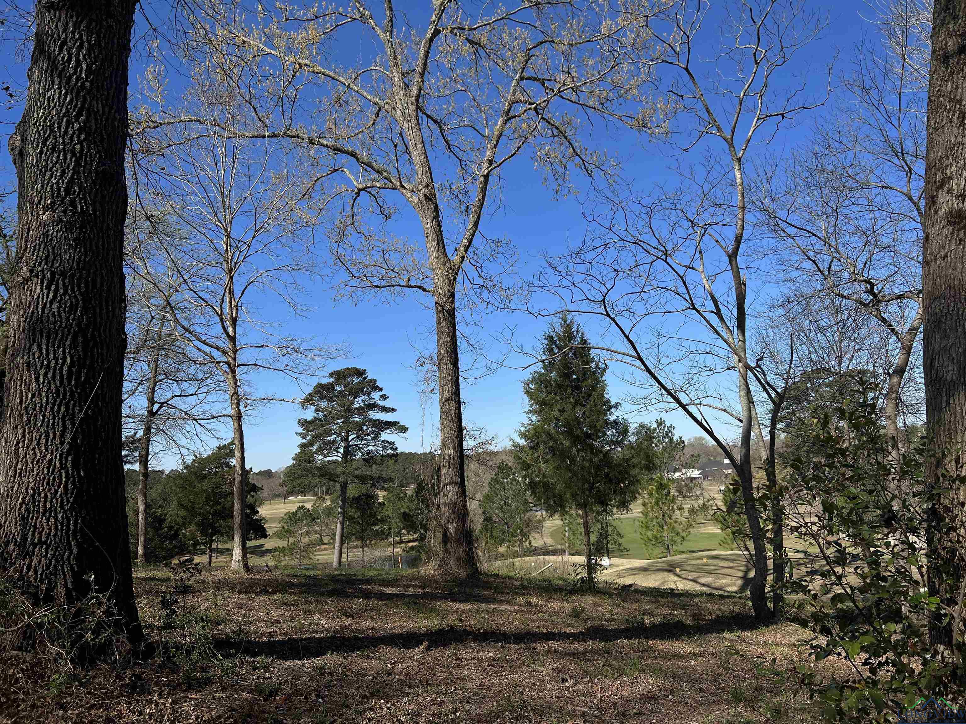 207 Longleaf Drive, Longview, New Mexico image 4