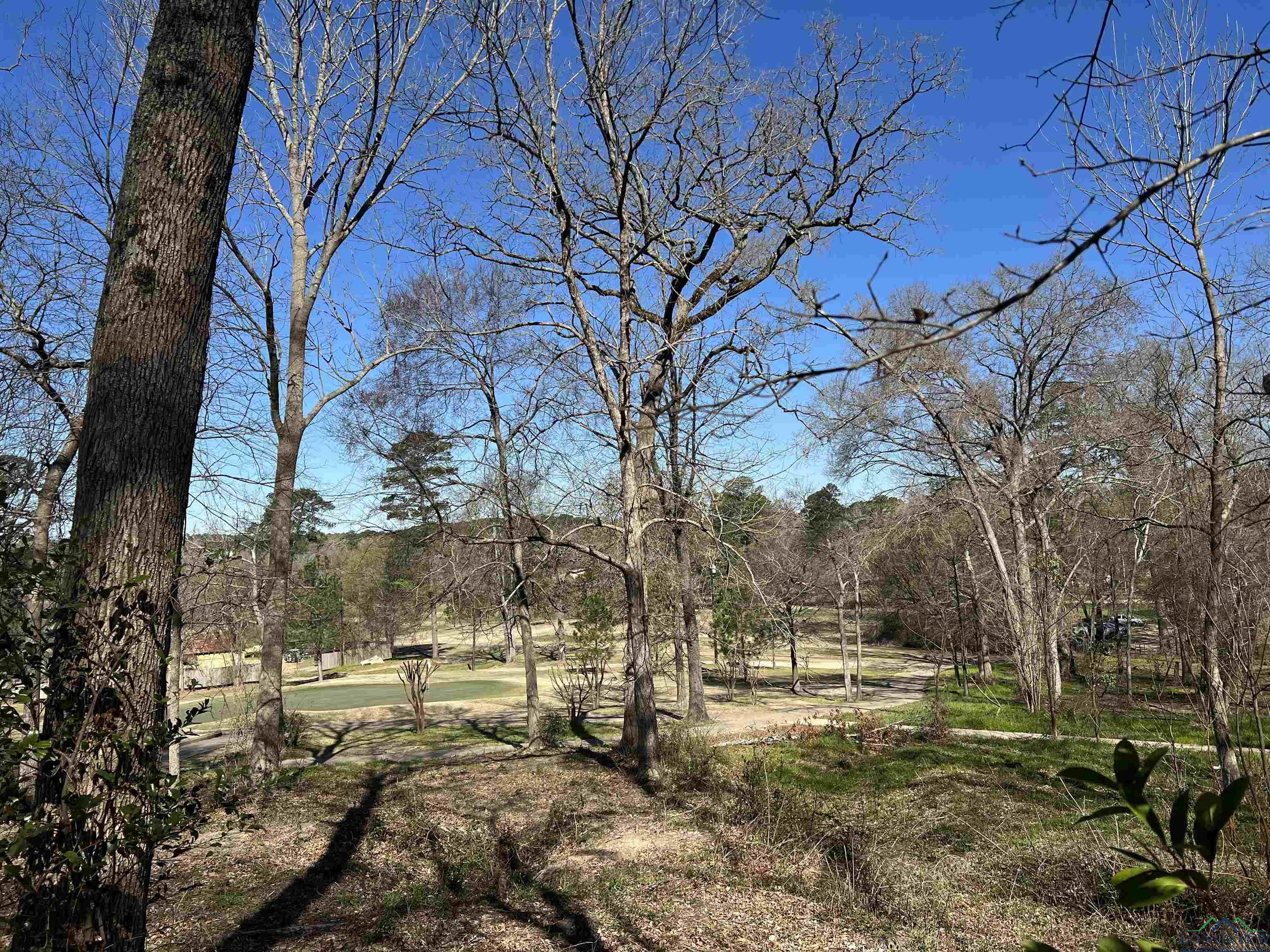 207 Longleaf Drive, Longview, New Mexico image 13