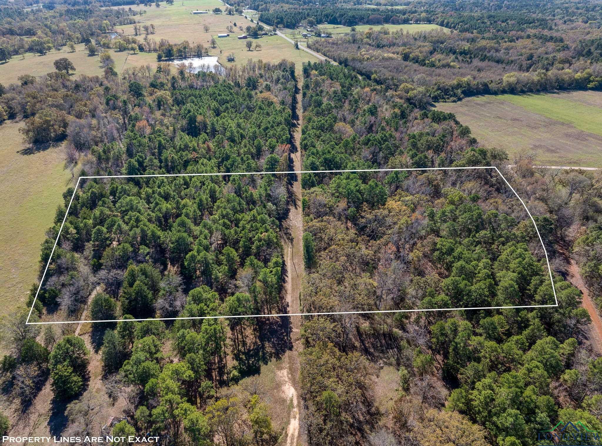 TBD Cr 3270, Quitman, Texas image 4