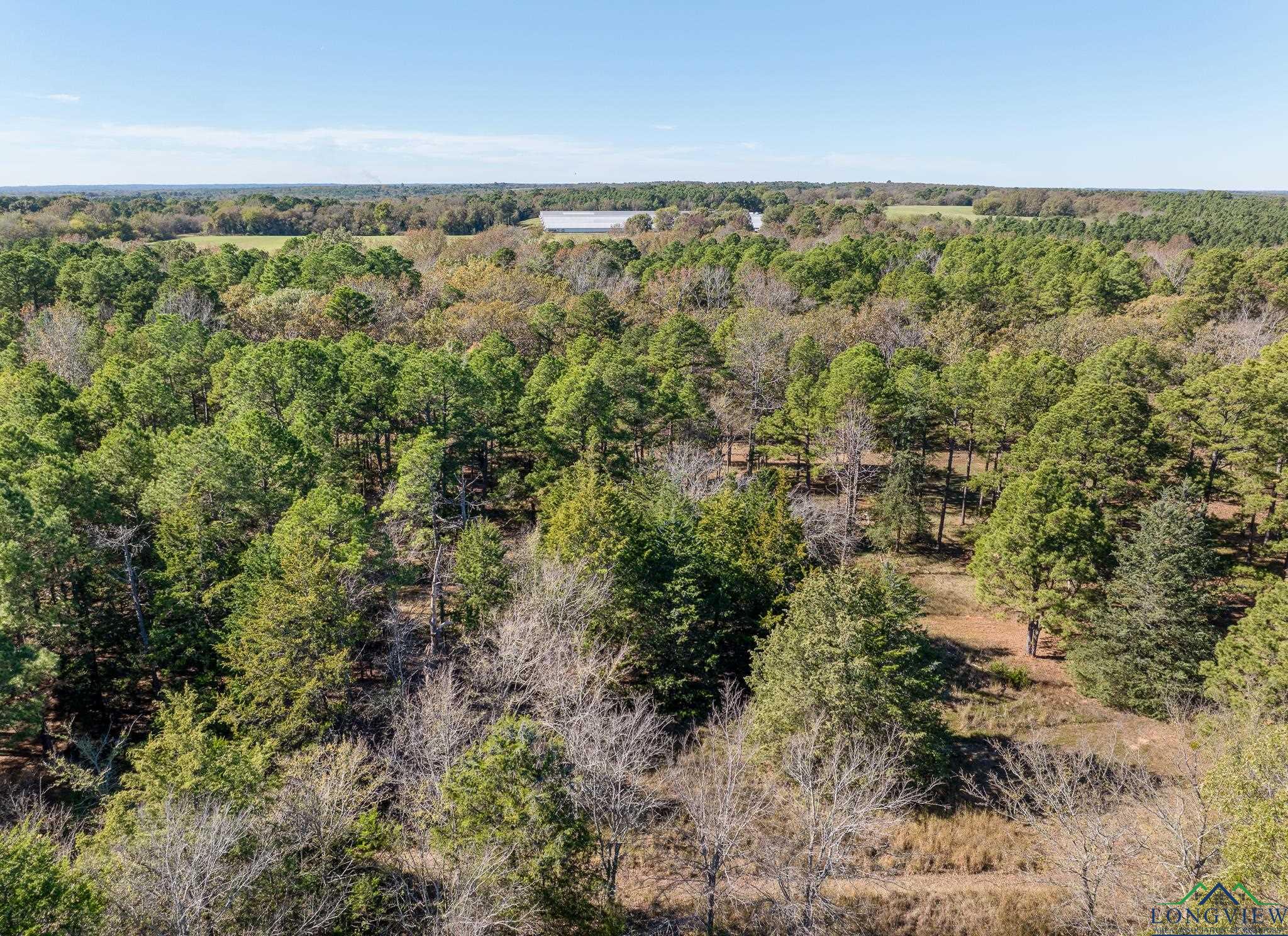 TBD Cr 3270, Quitman, Texas image 9