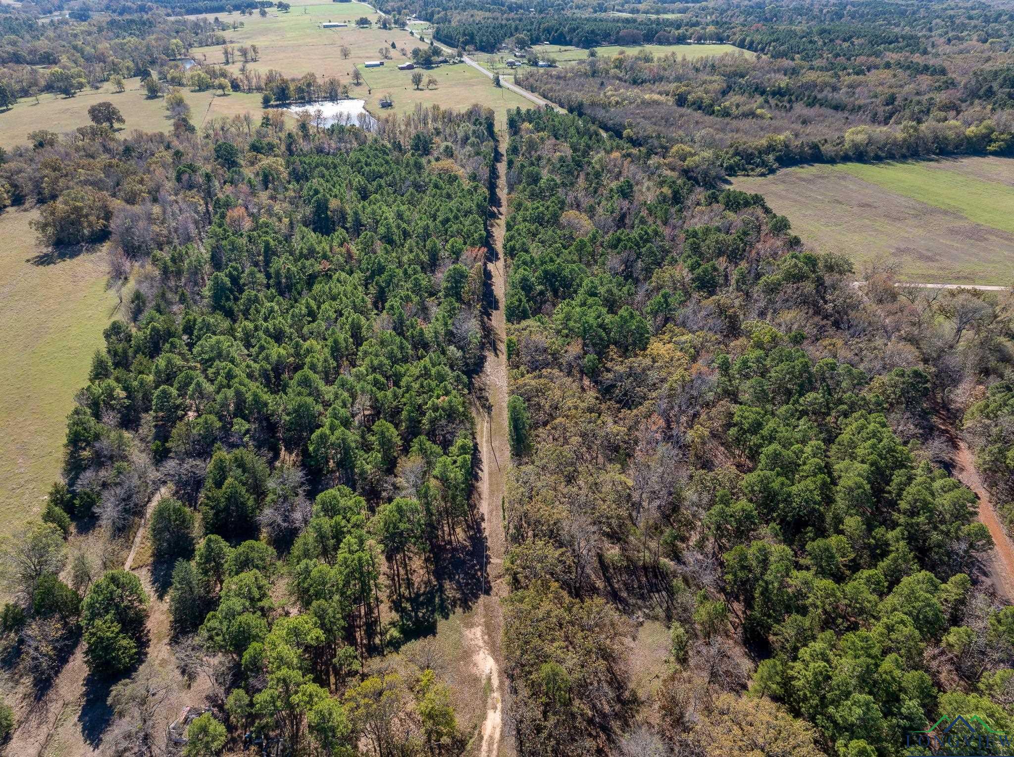 TBD Cr 3270, Quitman, Texas image 5