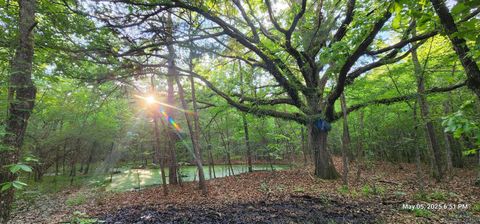 Vacant Land For Sale - Cr 3230<br/> Red River County, Clarksville, TX 75426