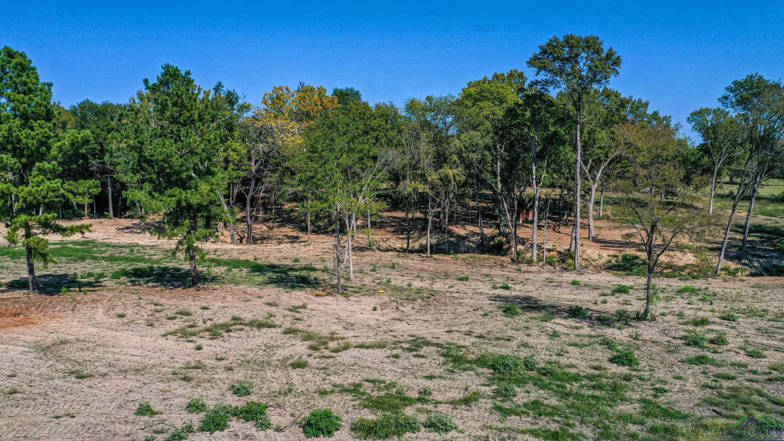 TBD Holland Rd, Mineola, Texas image 6