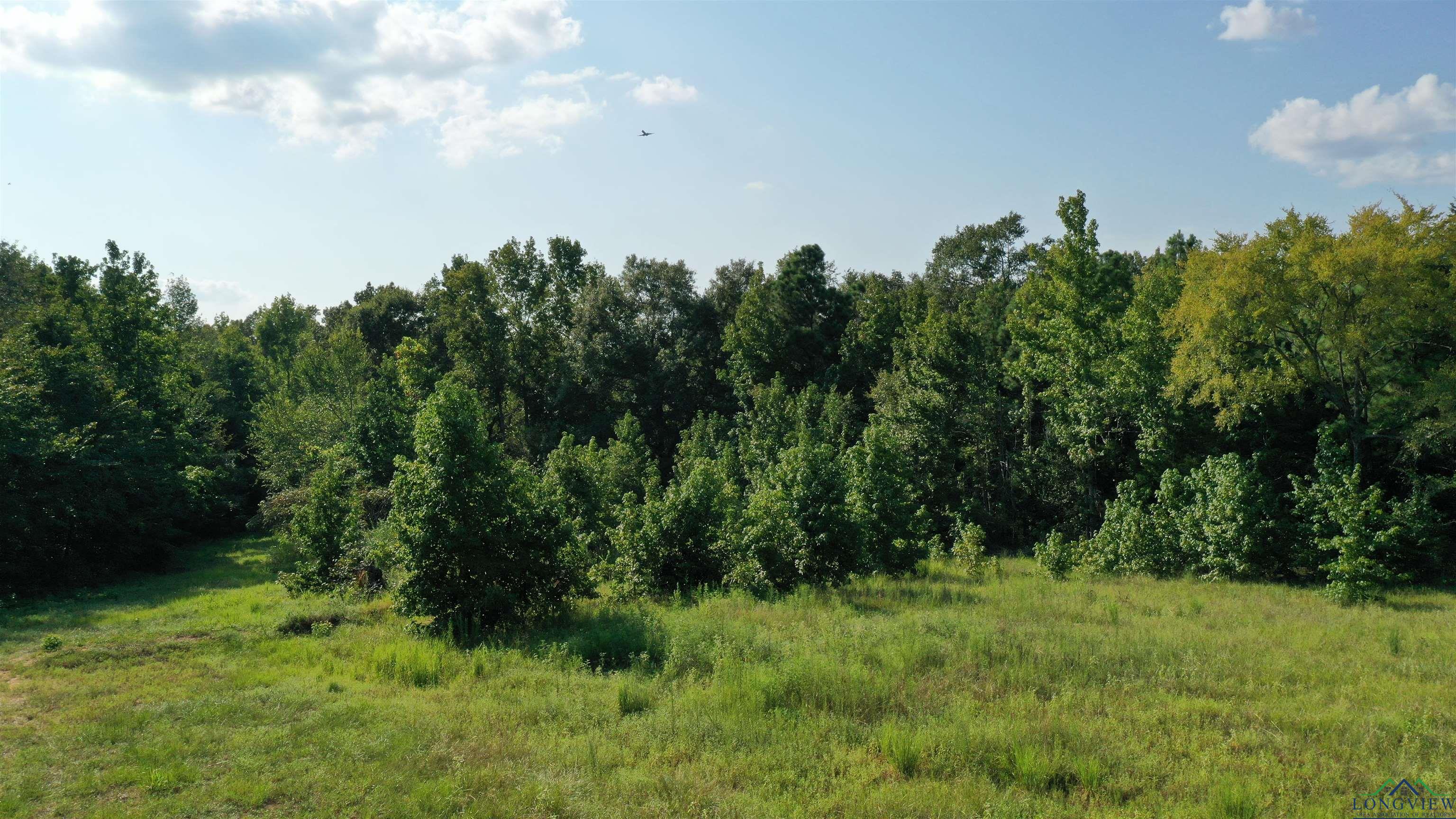 11241 C R 490, Tyler, Texas image 9