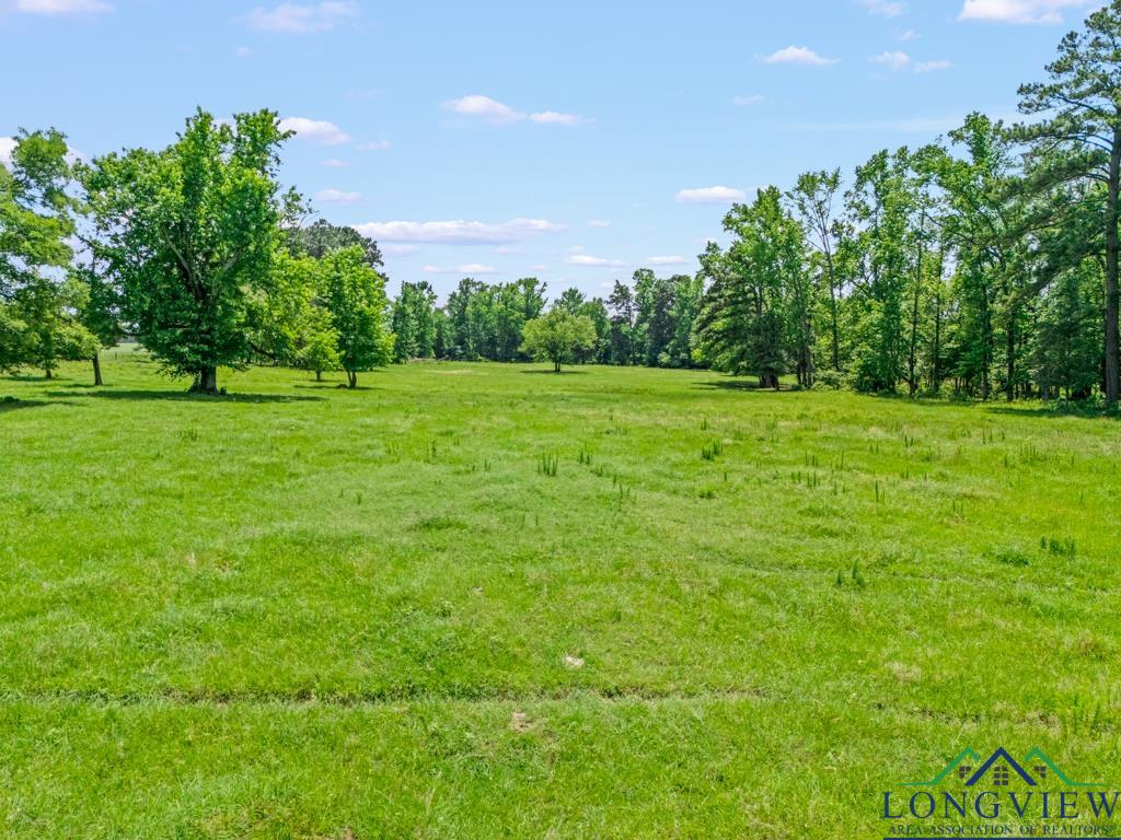 TBD S Fm 1002, Big Sandy, Texas image 14