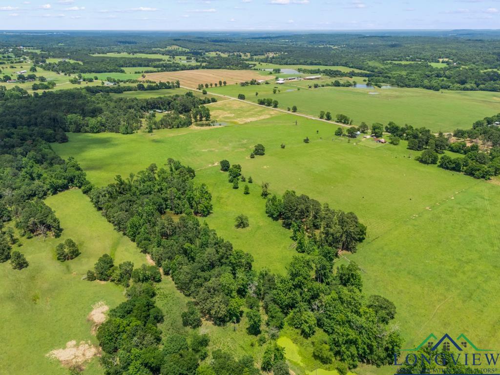 TBD S Fm 1002, Big Sandy, Texas image 7