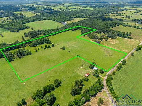 Vacant Land For Sale - TBD S Fm 1002<br/> Big Sandy, TX 75755