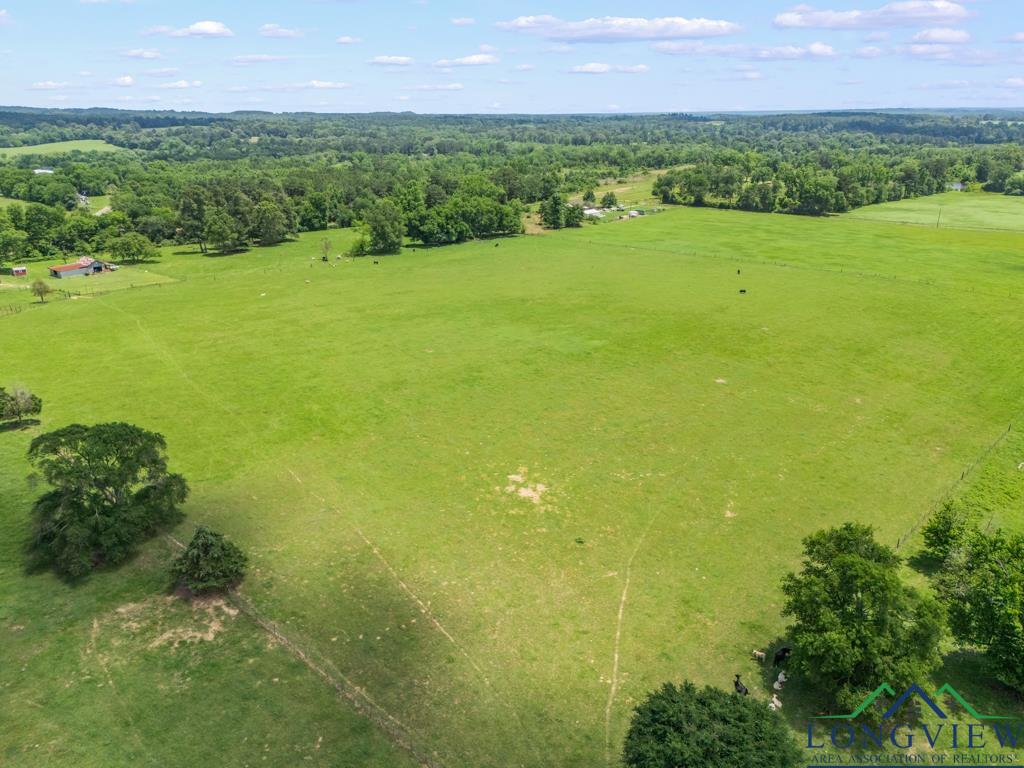 TBD S Fm 1002, Big Sandy, Texas image 9