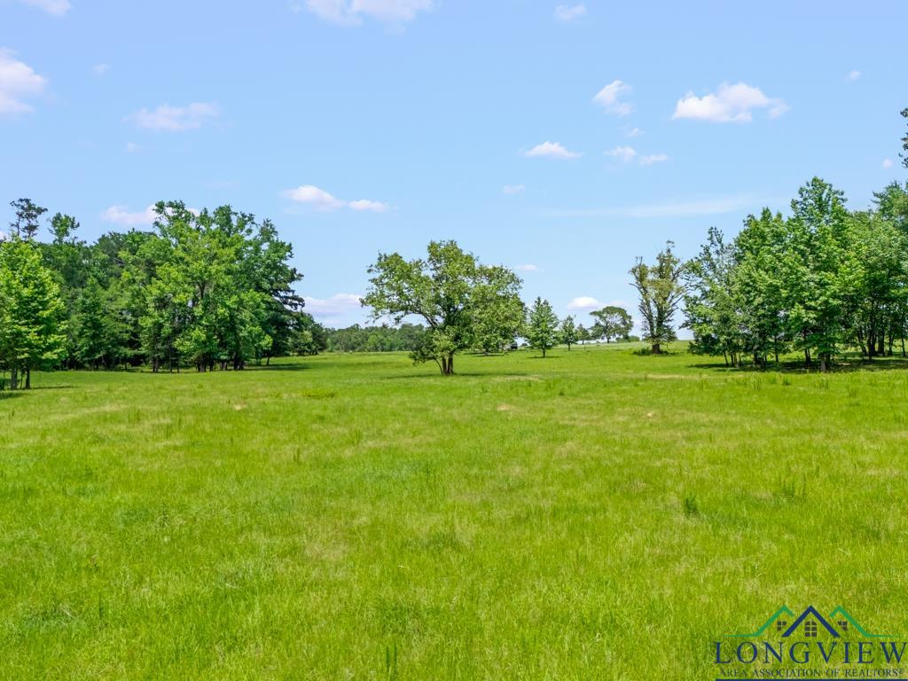 TBD S Fm 1002, Big Sandy, Texas image 17