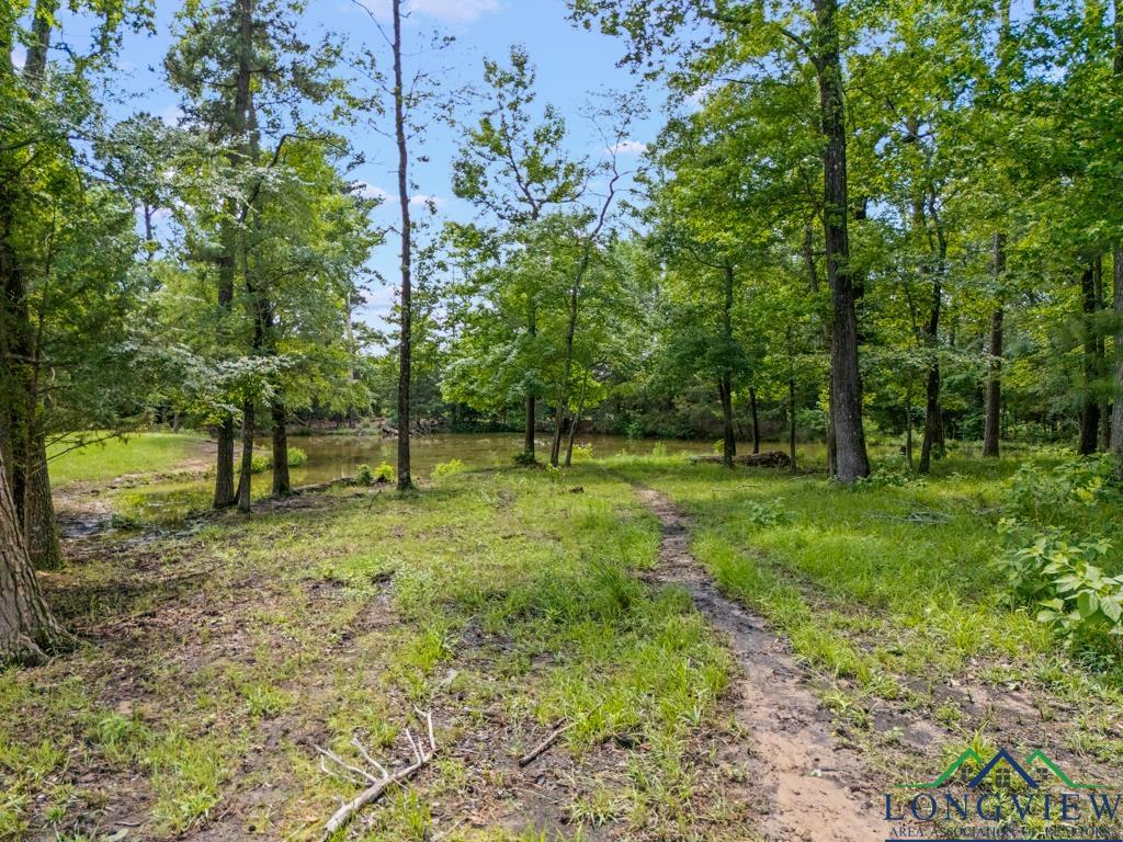 TBD S Fm 1002, Big Sandy, Texas image 23