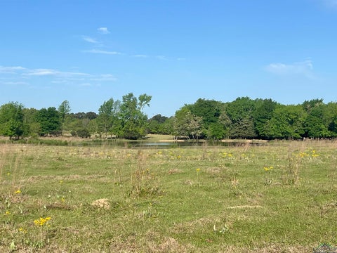 Vacant Land For Sale - TBD Fm 1402<br/> Mount Pleasant, TX 75455
