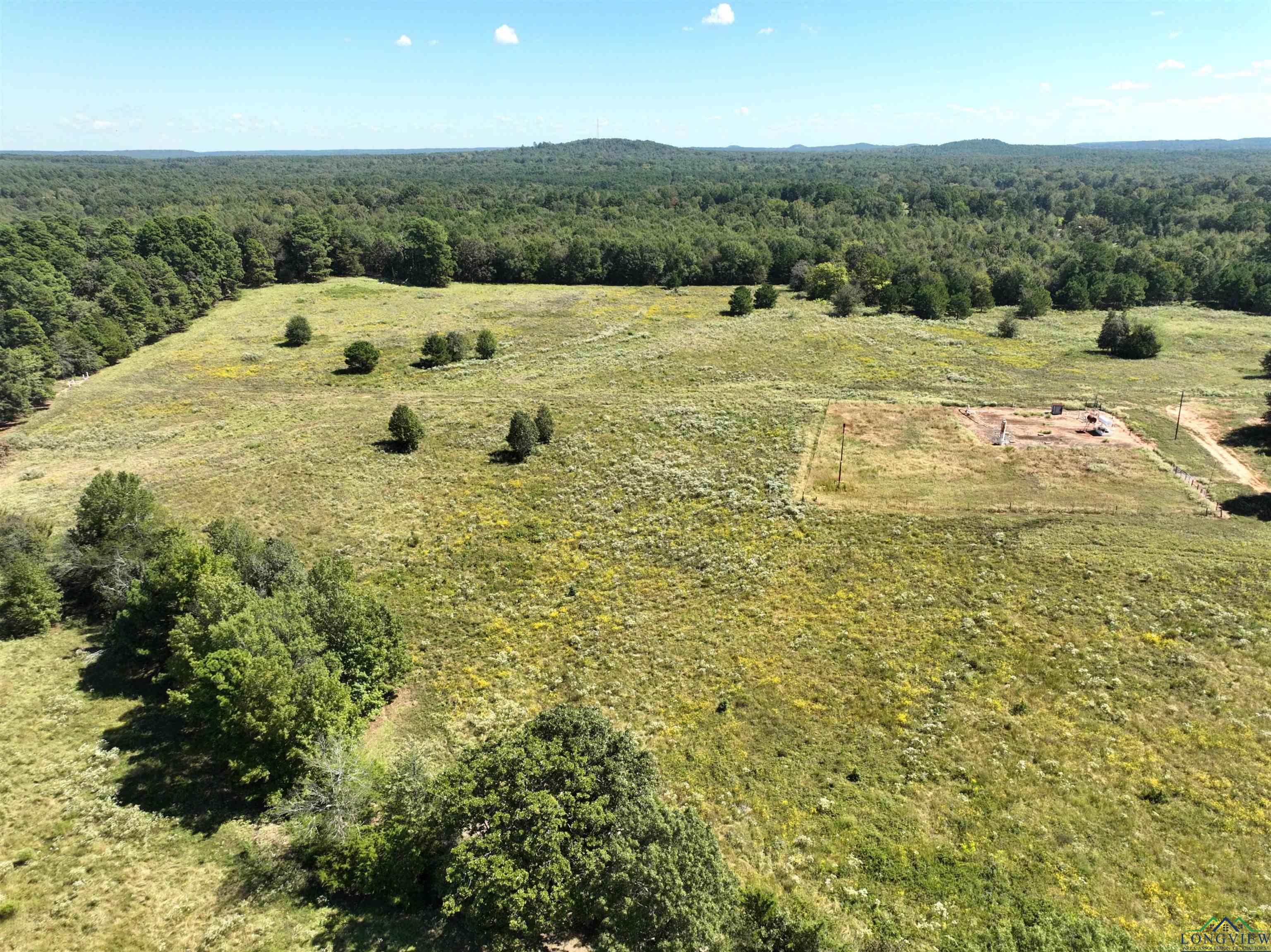 TBD Ginger Road, Gilmer, Texas image 17