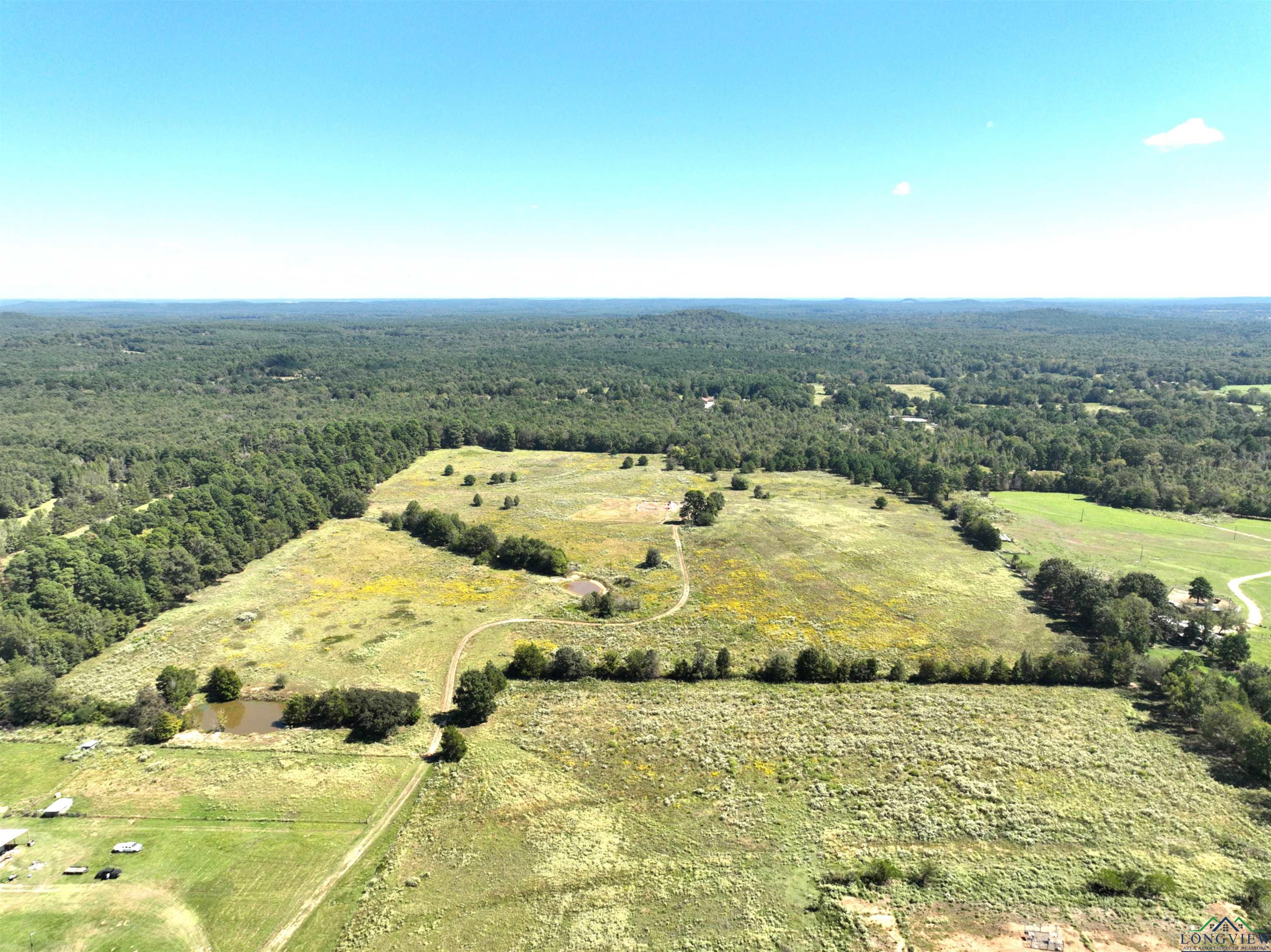 TBD Ginger Road, Gilmer, Texas image 5