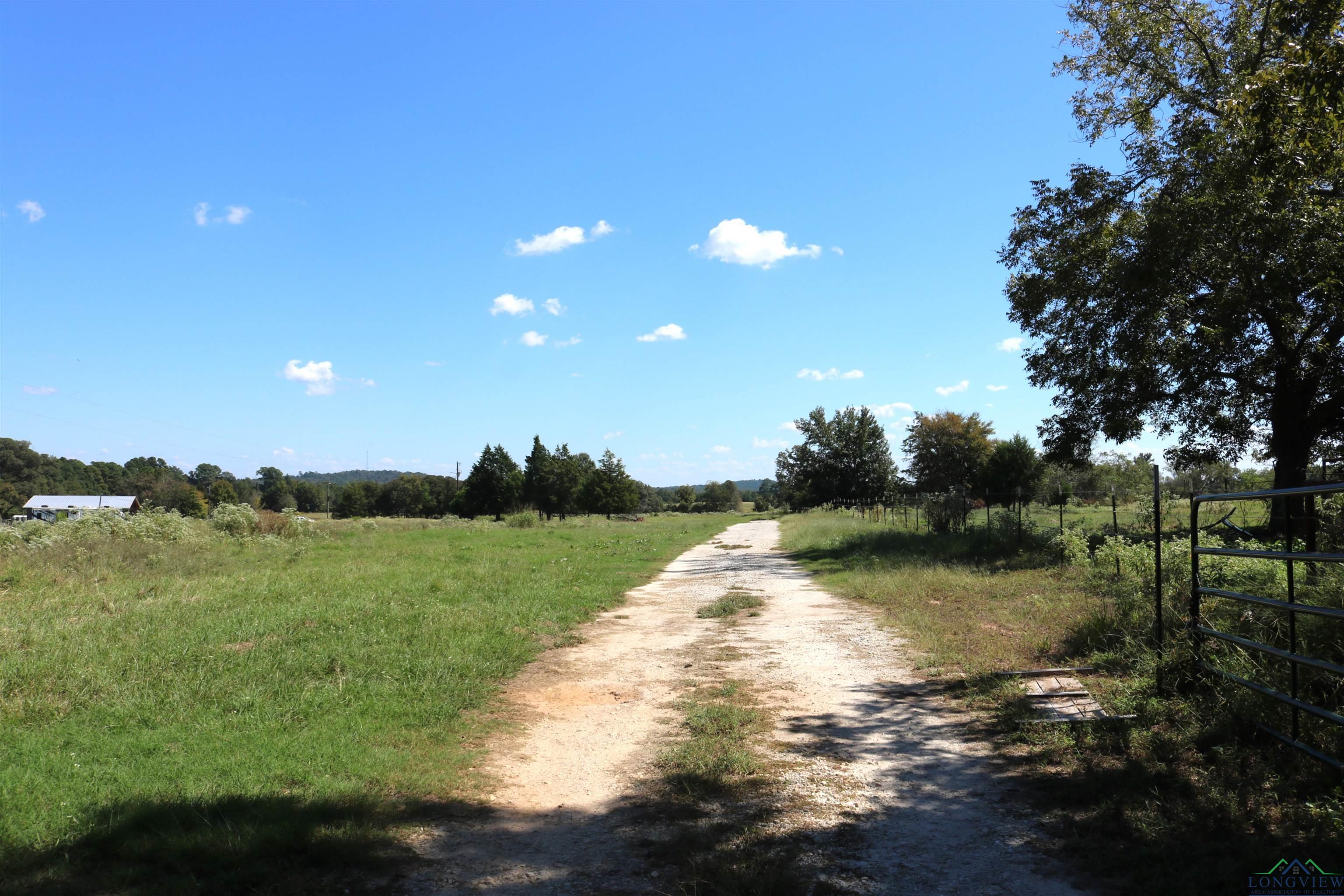 TBD Ginger Road, Gilmer, Texas image 25