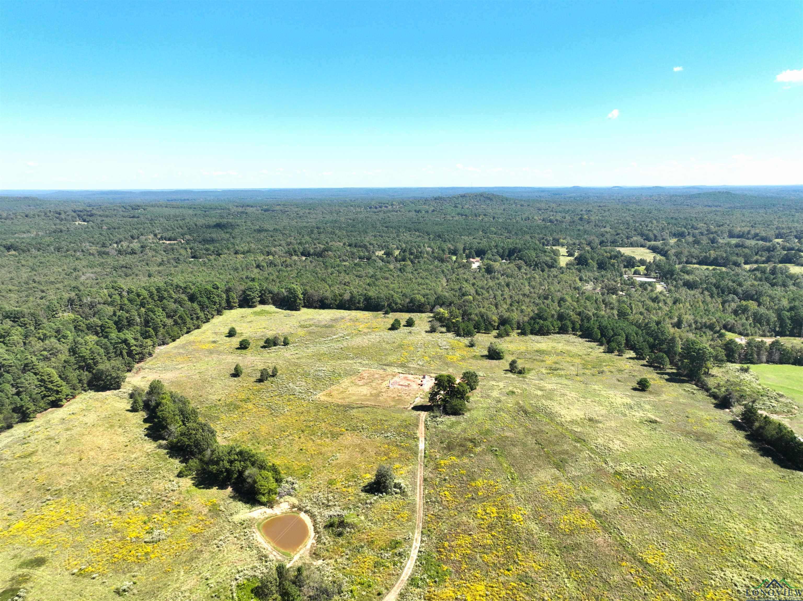 TBD Ginger Road, Gilmer, Texas image 7