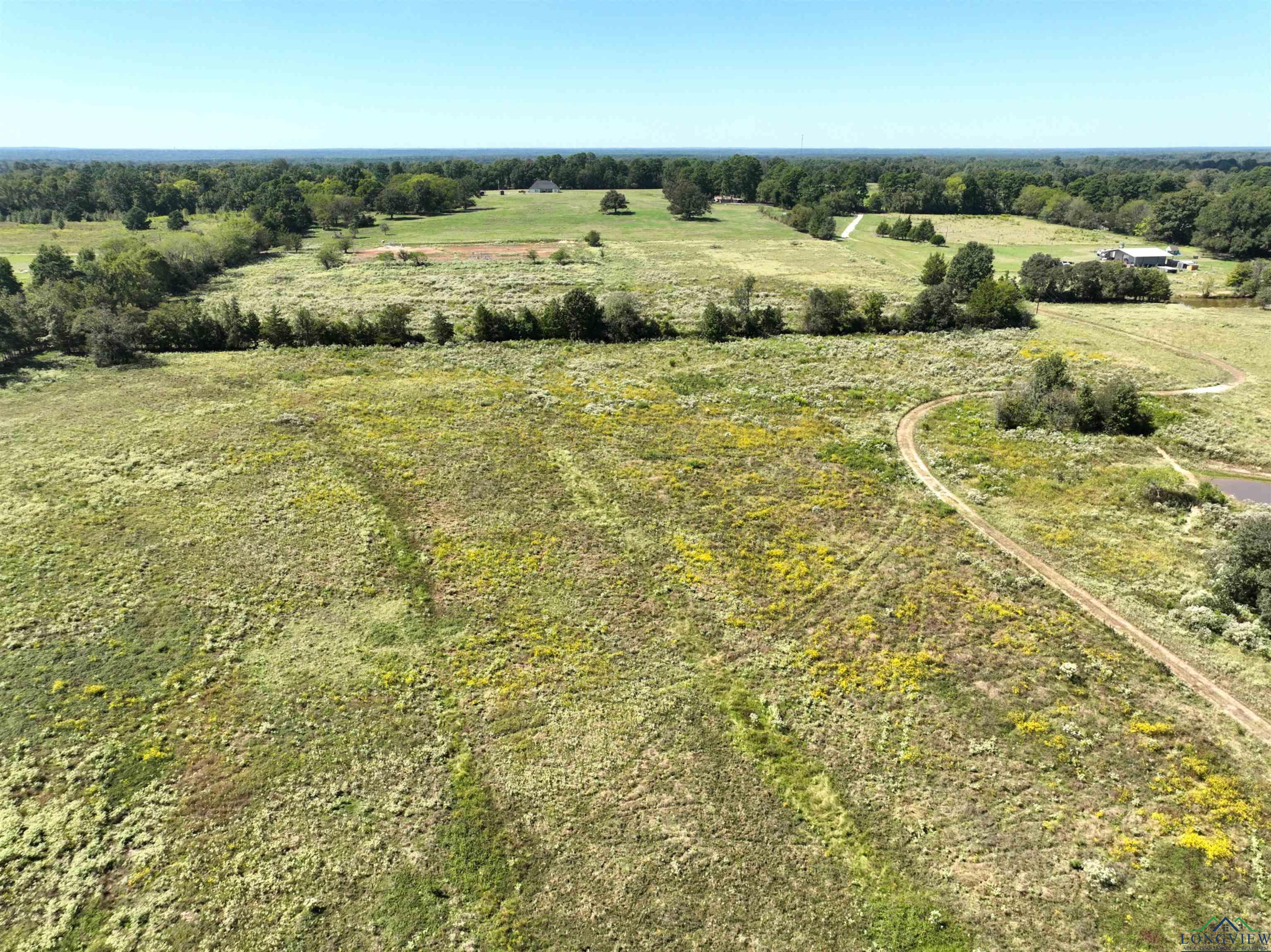 TBD Ginger Road, Gilmer, Texas image 19