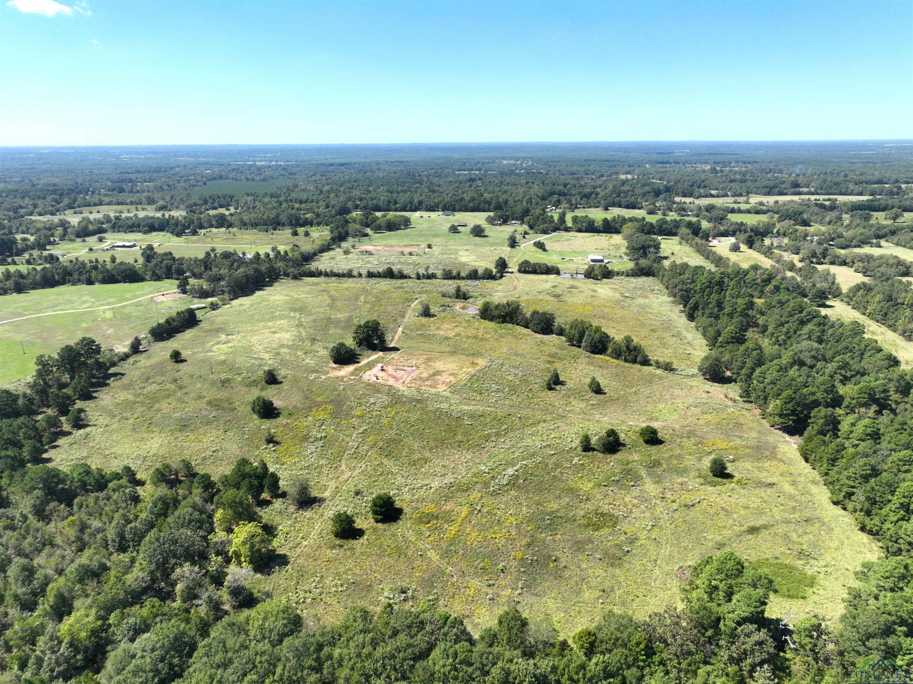 TBD Ginger Road, Gilmer, Texas image 9