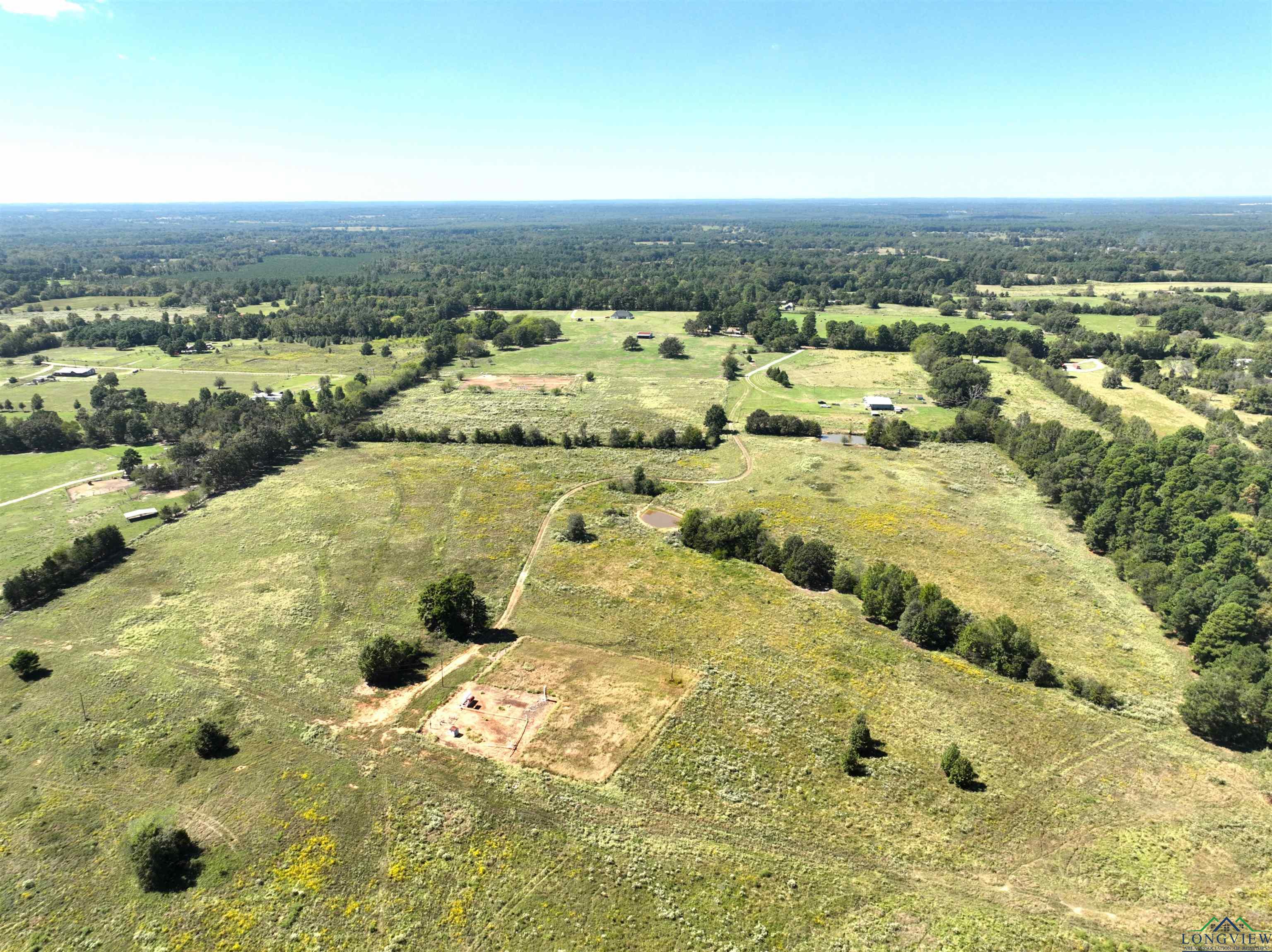 TBD Ginger Road, Gilmer, Texas image 10