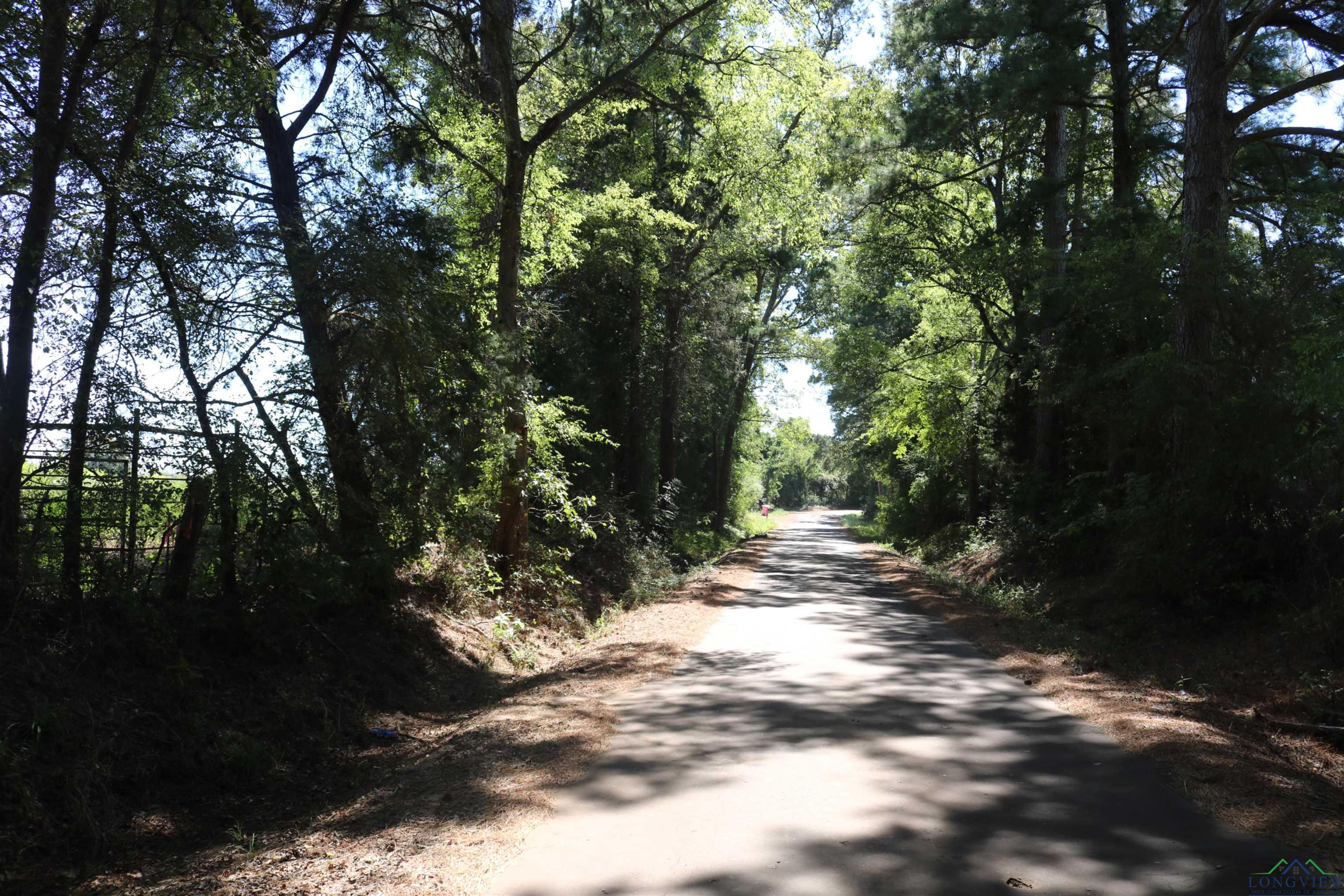 TBD Ginger Road, Gilmer, Texas image 27