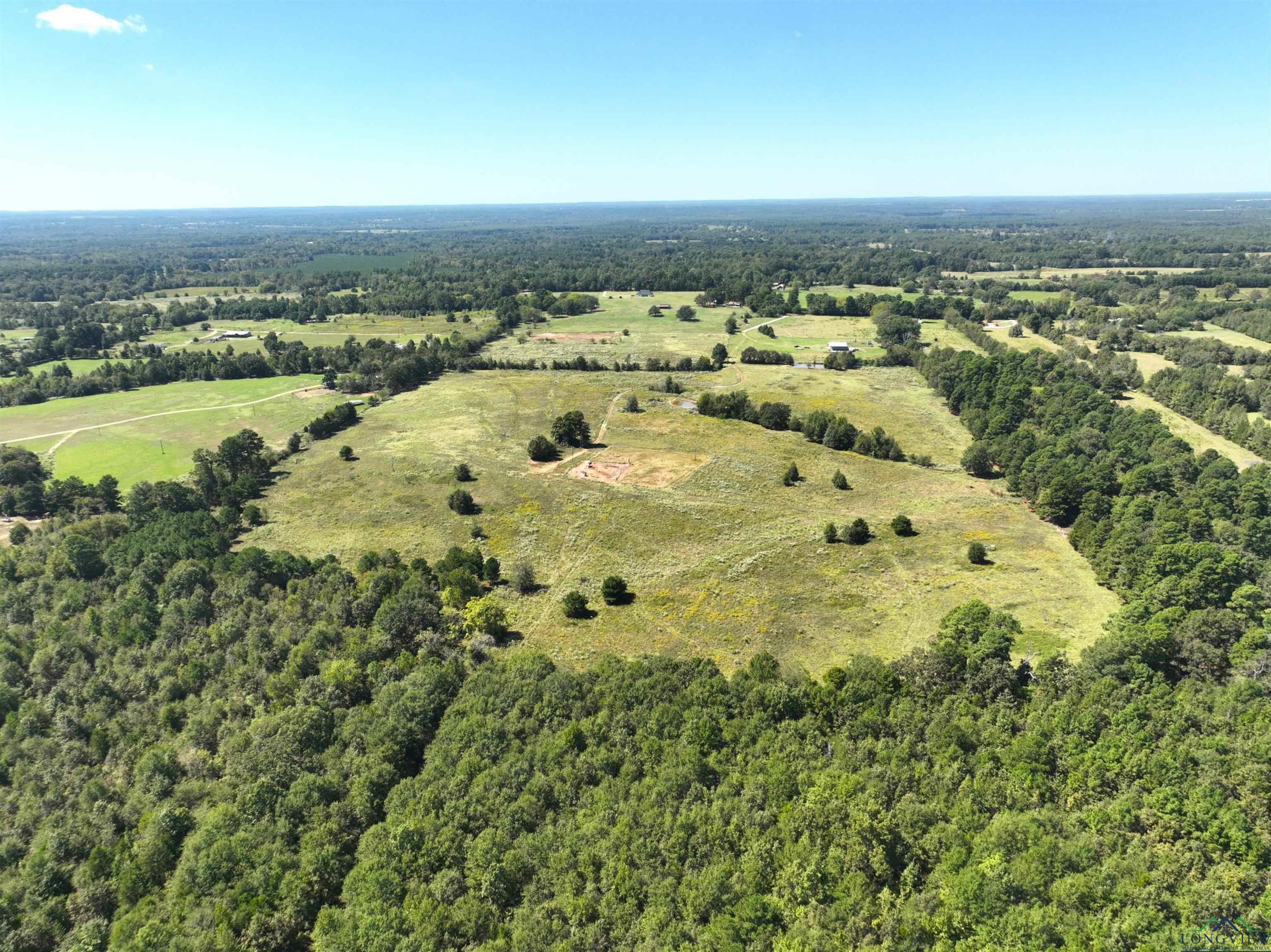 TBD Ginger Road, Gilmer, Texas image 8